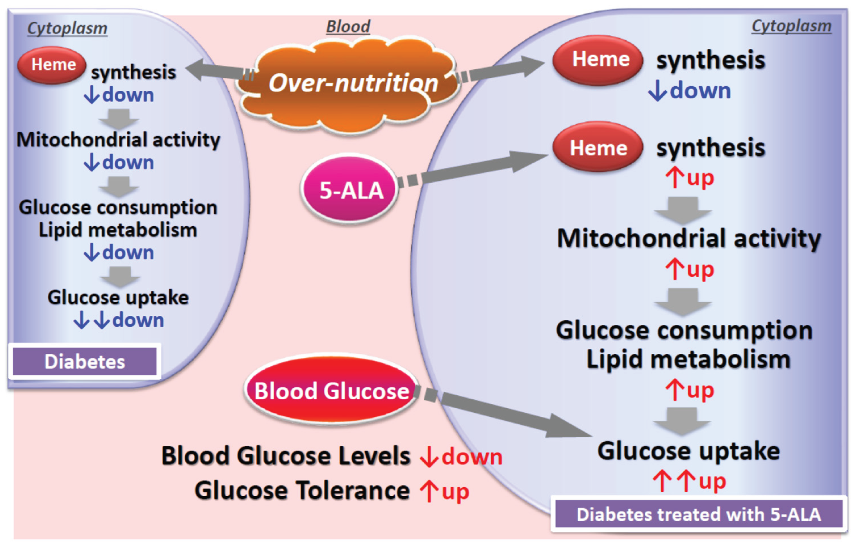 Preprints 173543 g003