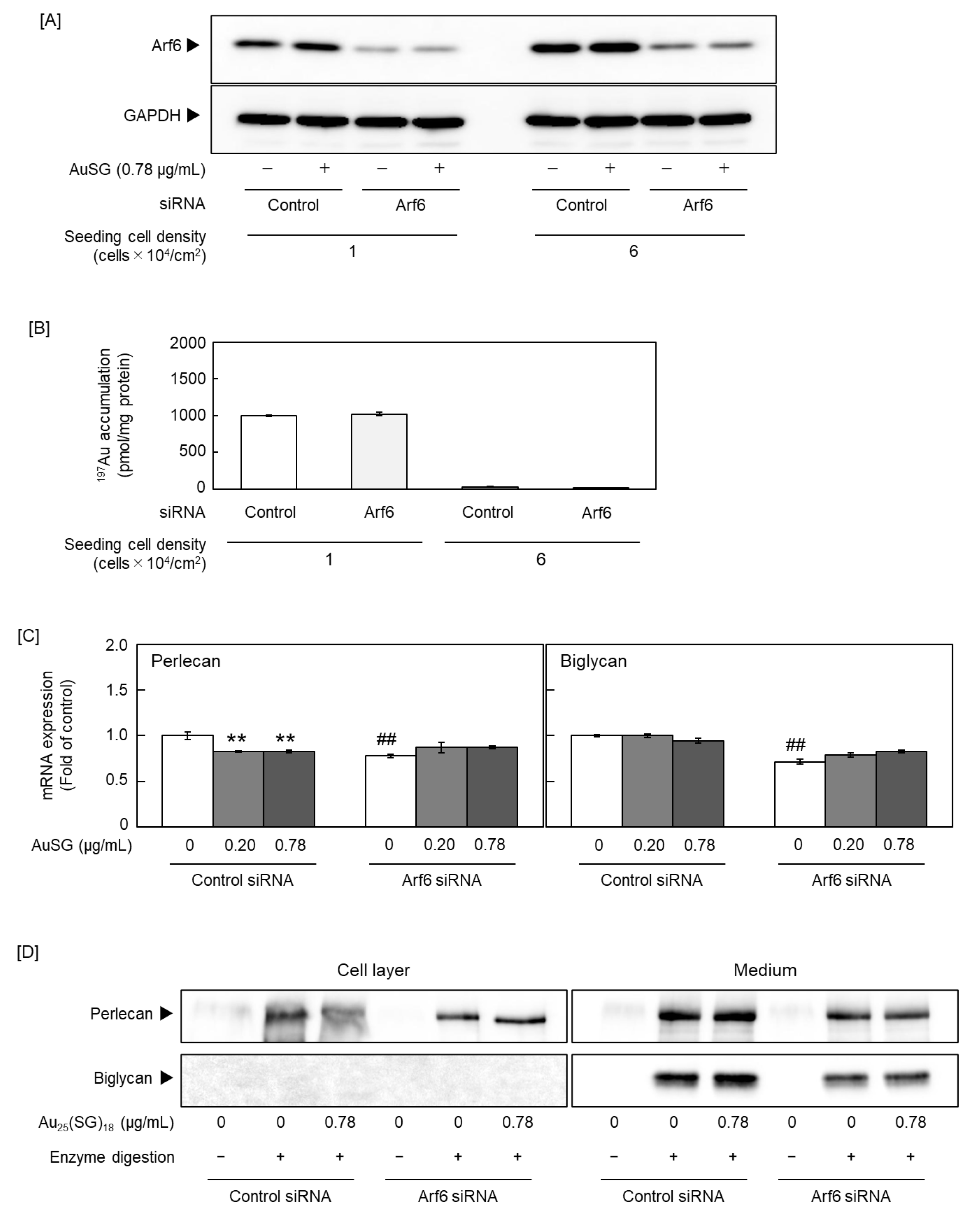 Preprints 190149 g005