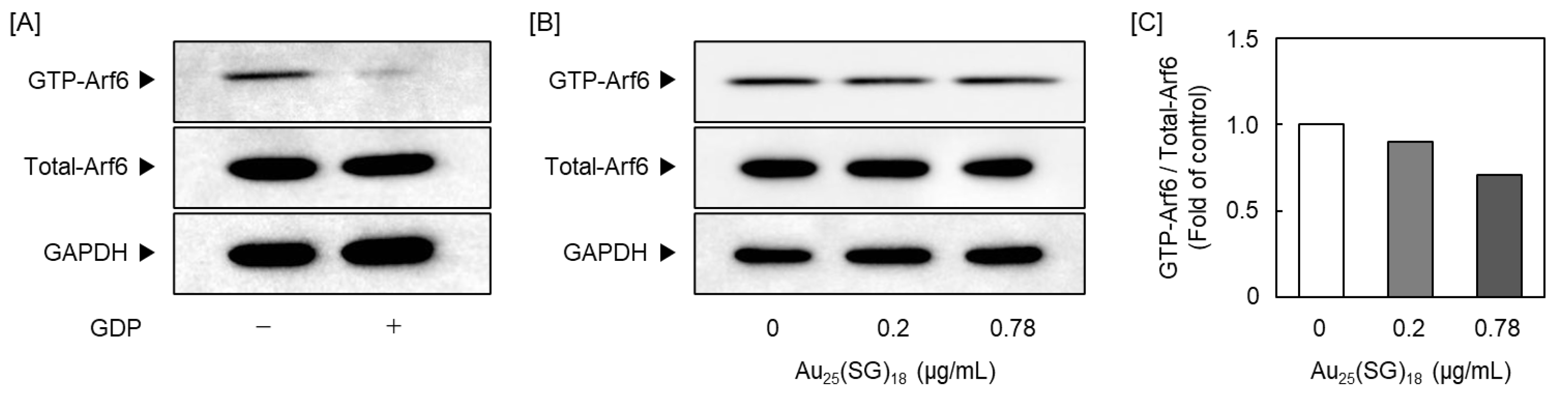 Preprints 190149 g006