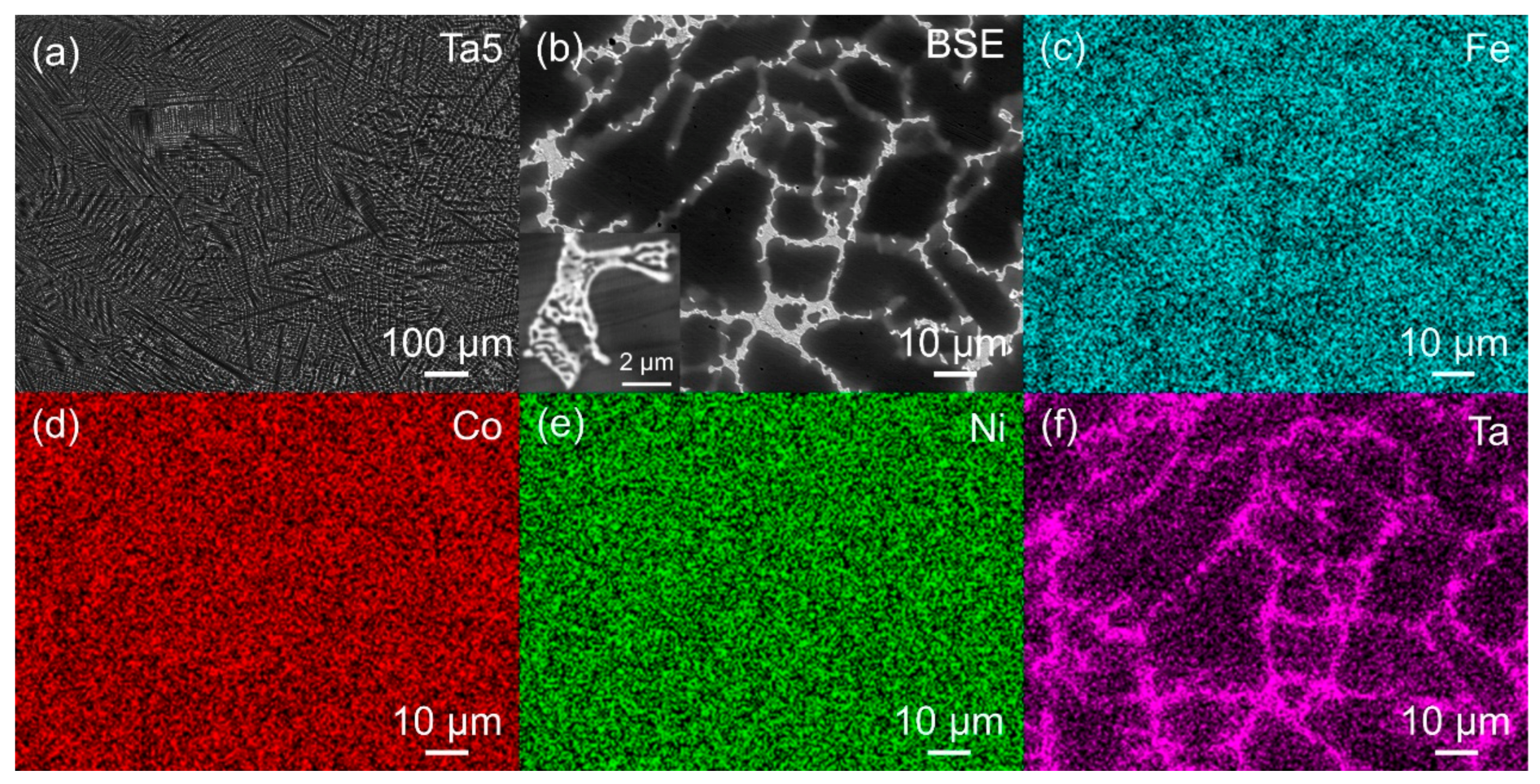 Preprints 188169 g003