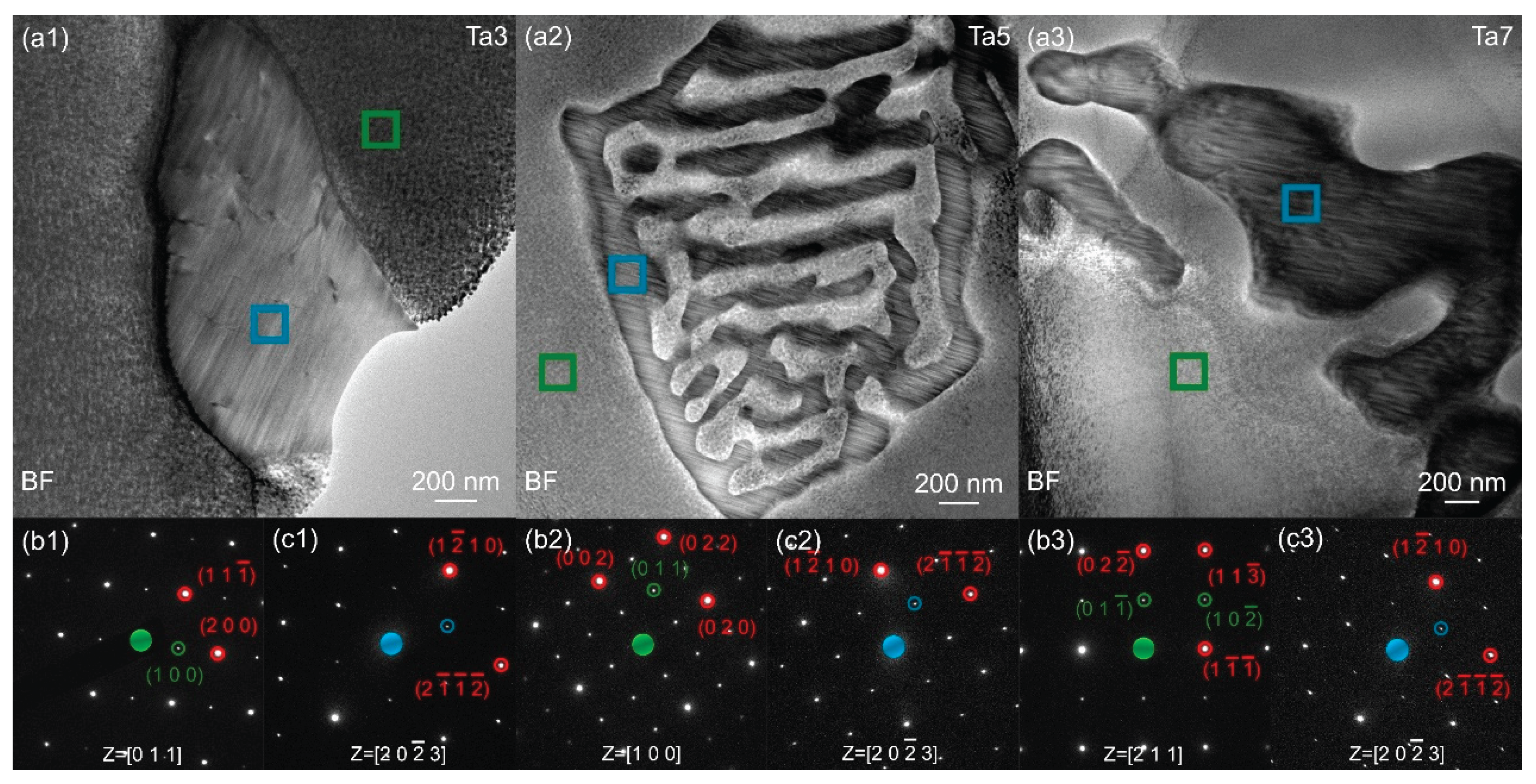 Preprints 188169 g009