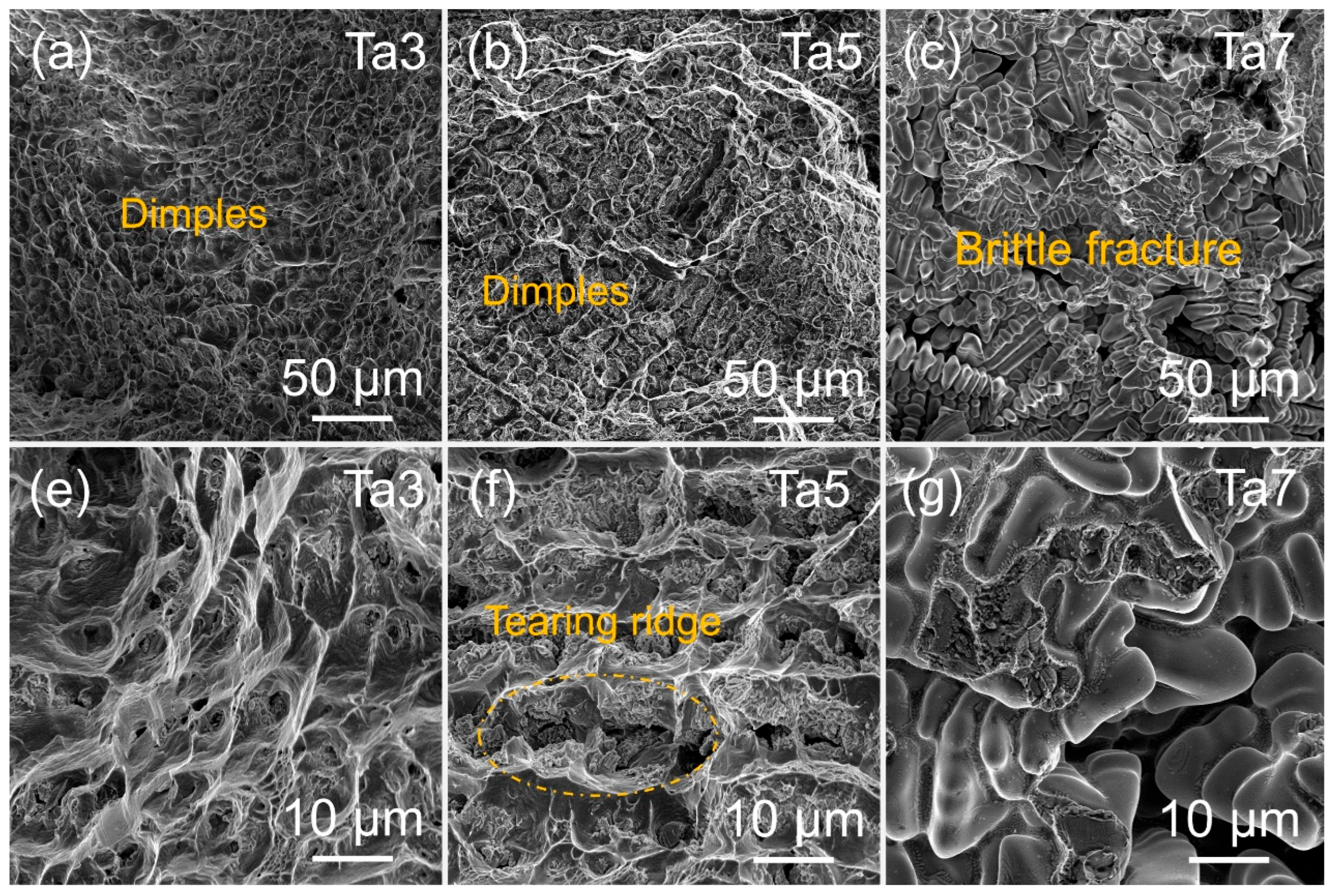 Preprints 188169 g014