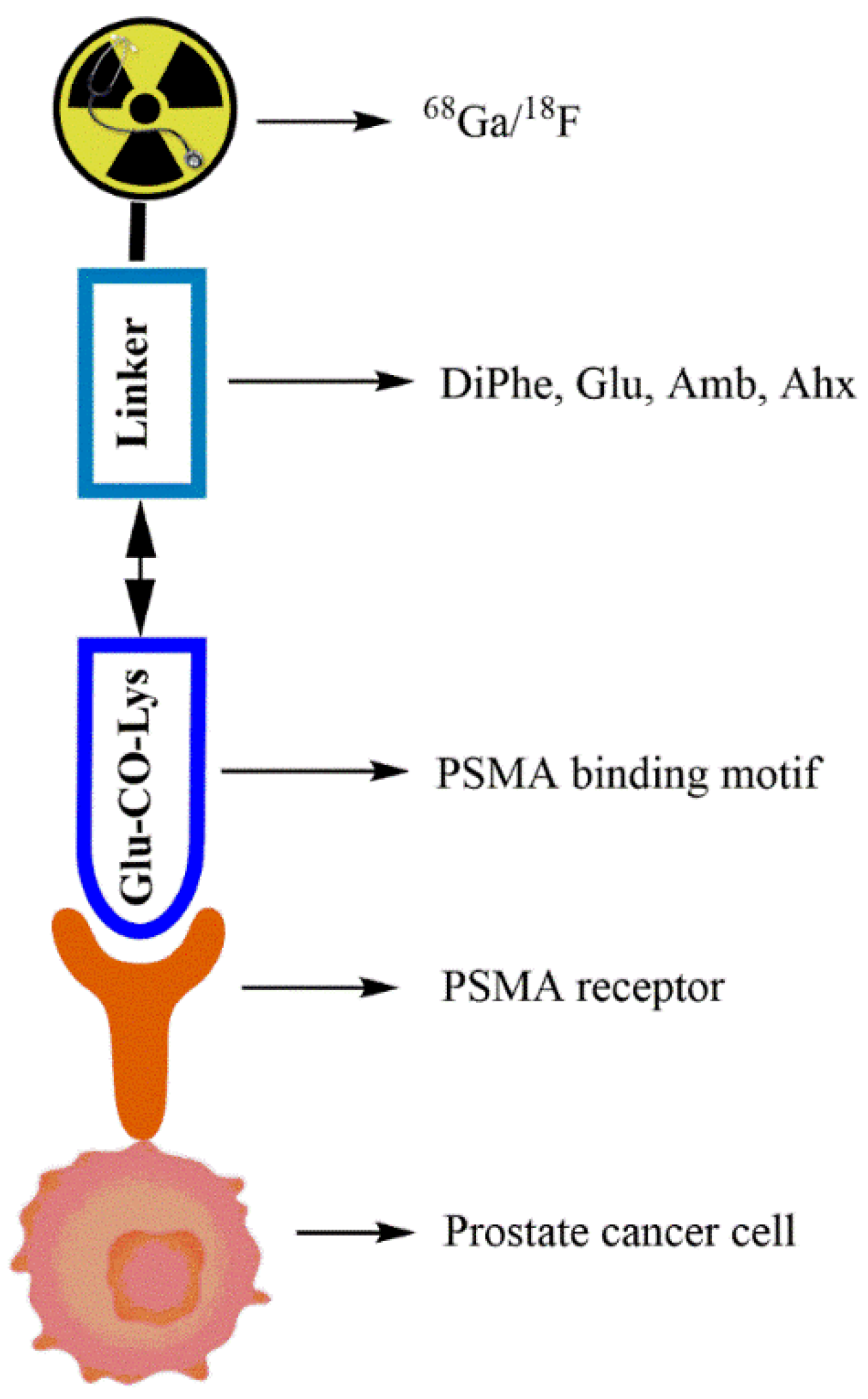 Preprints 208310 g001