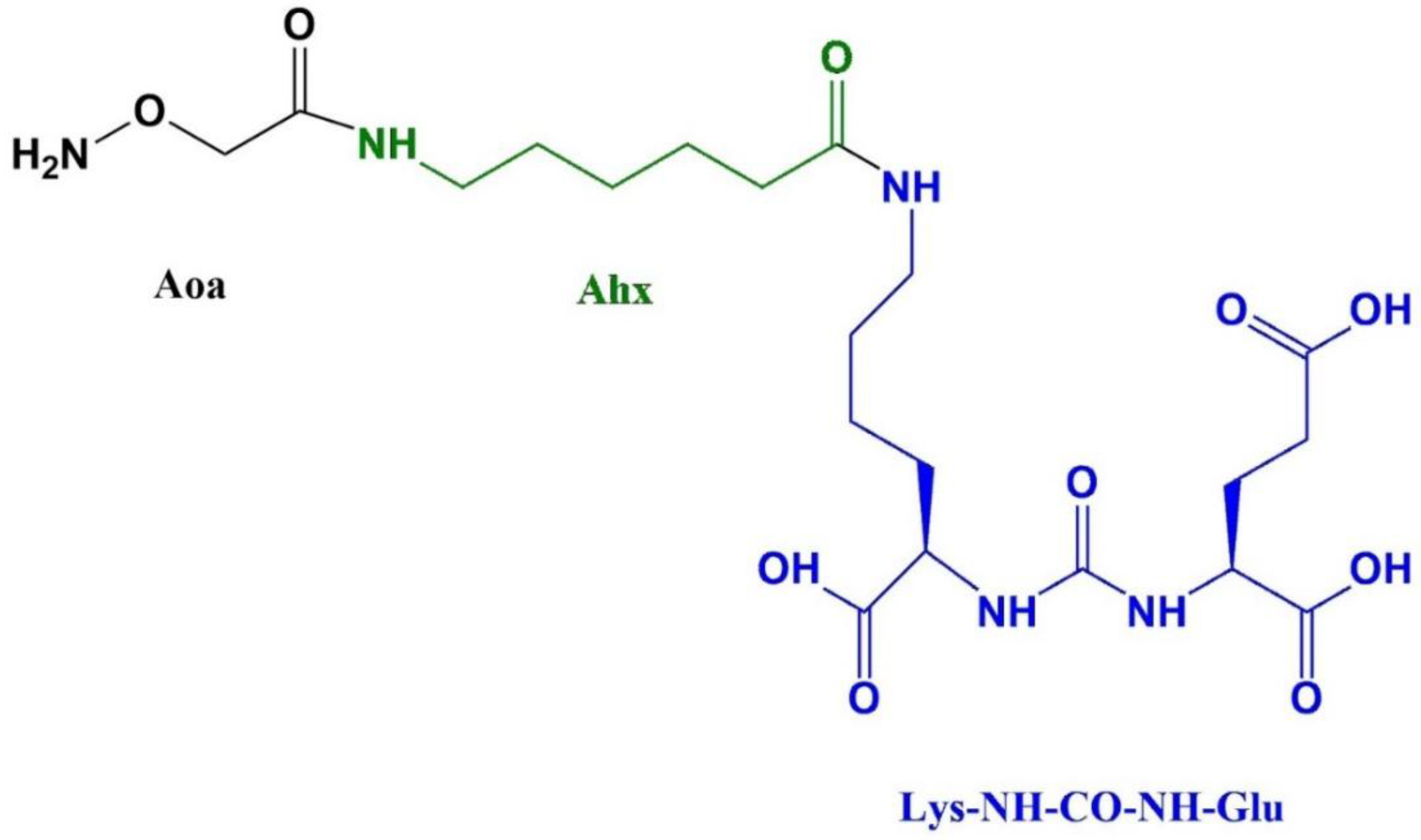 Preprints 208310 g008
