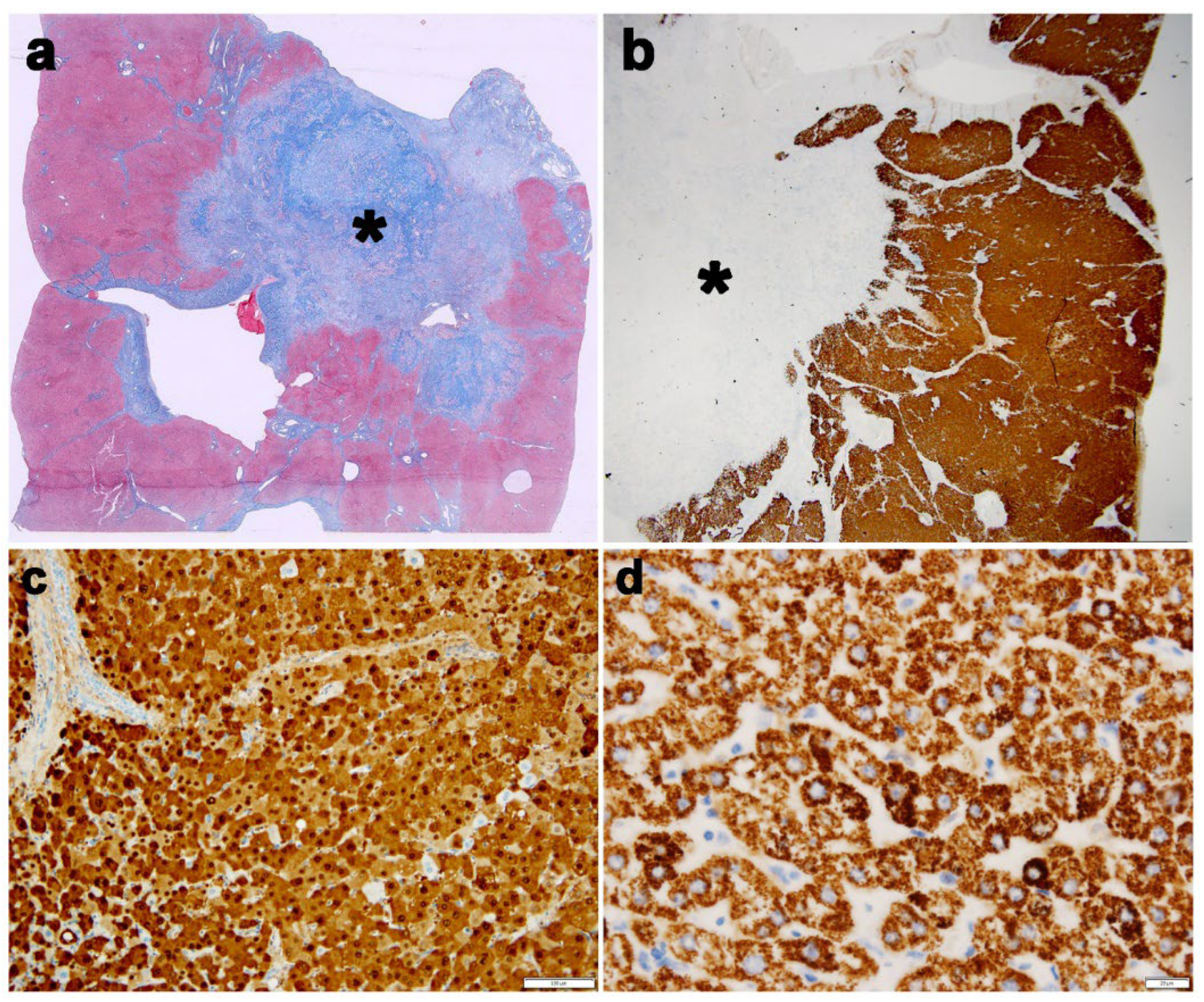 Preprints 190810 g002