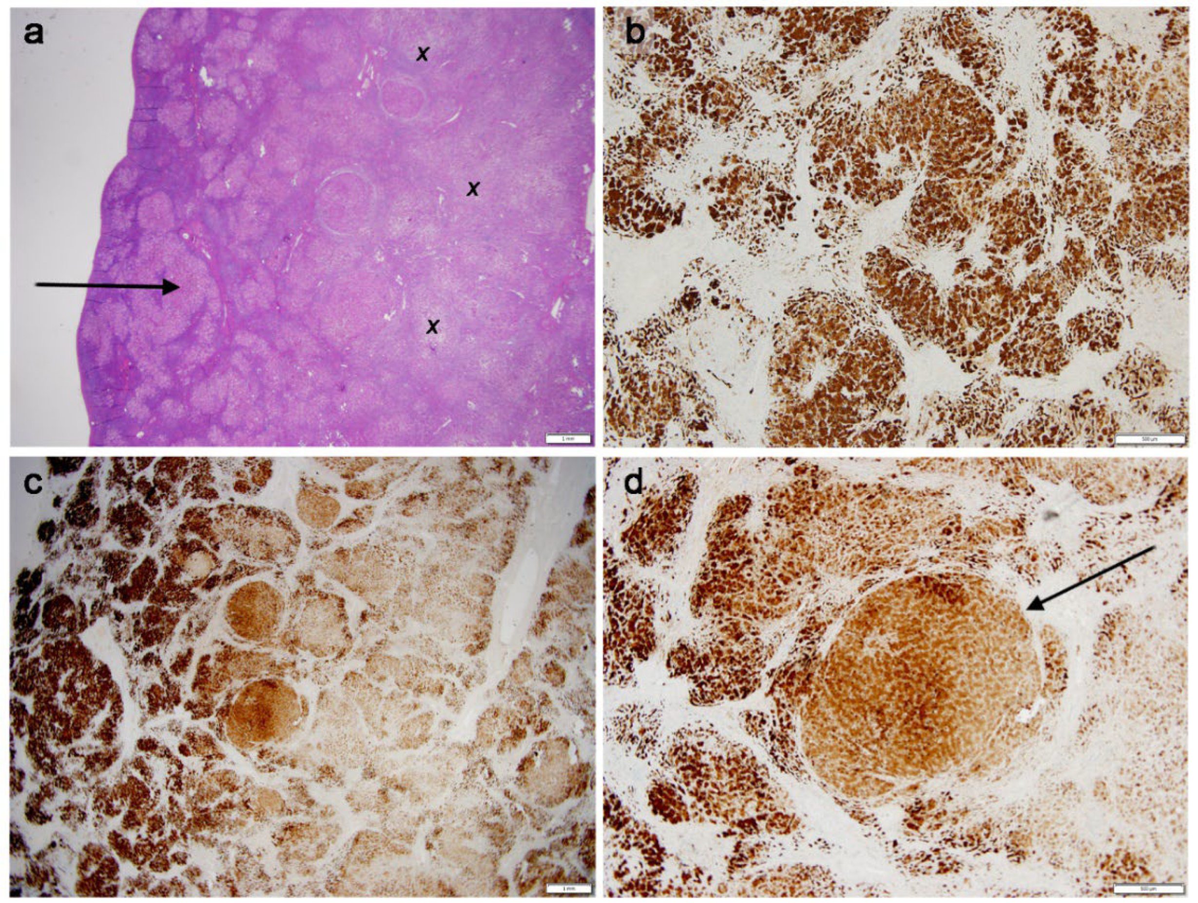 Preprints 190810 g003