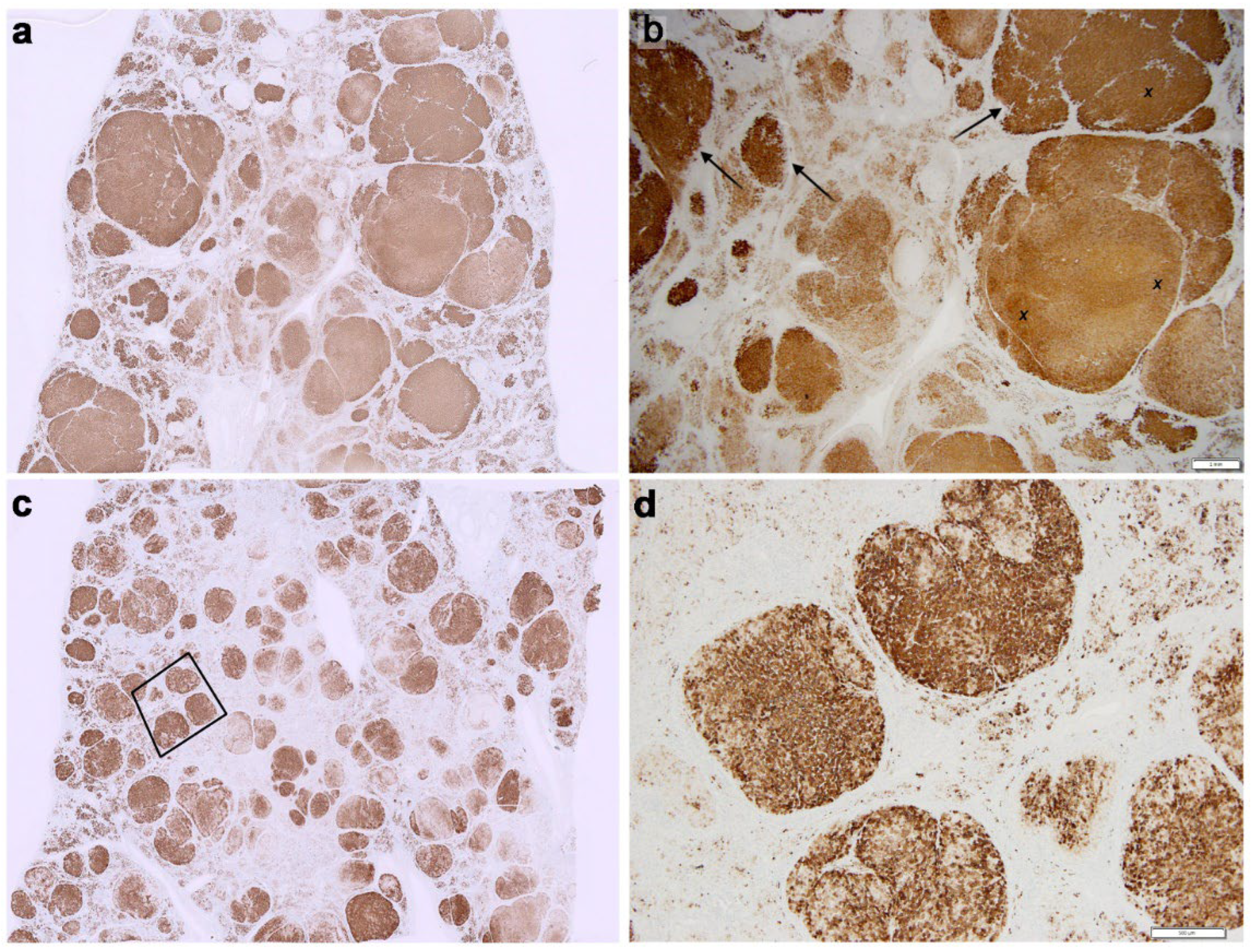 Preprints 190810 g004