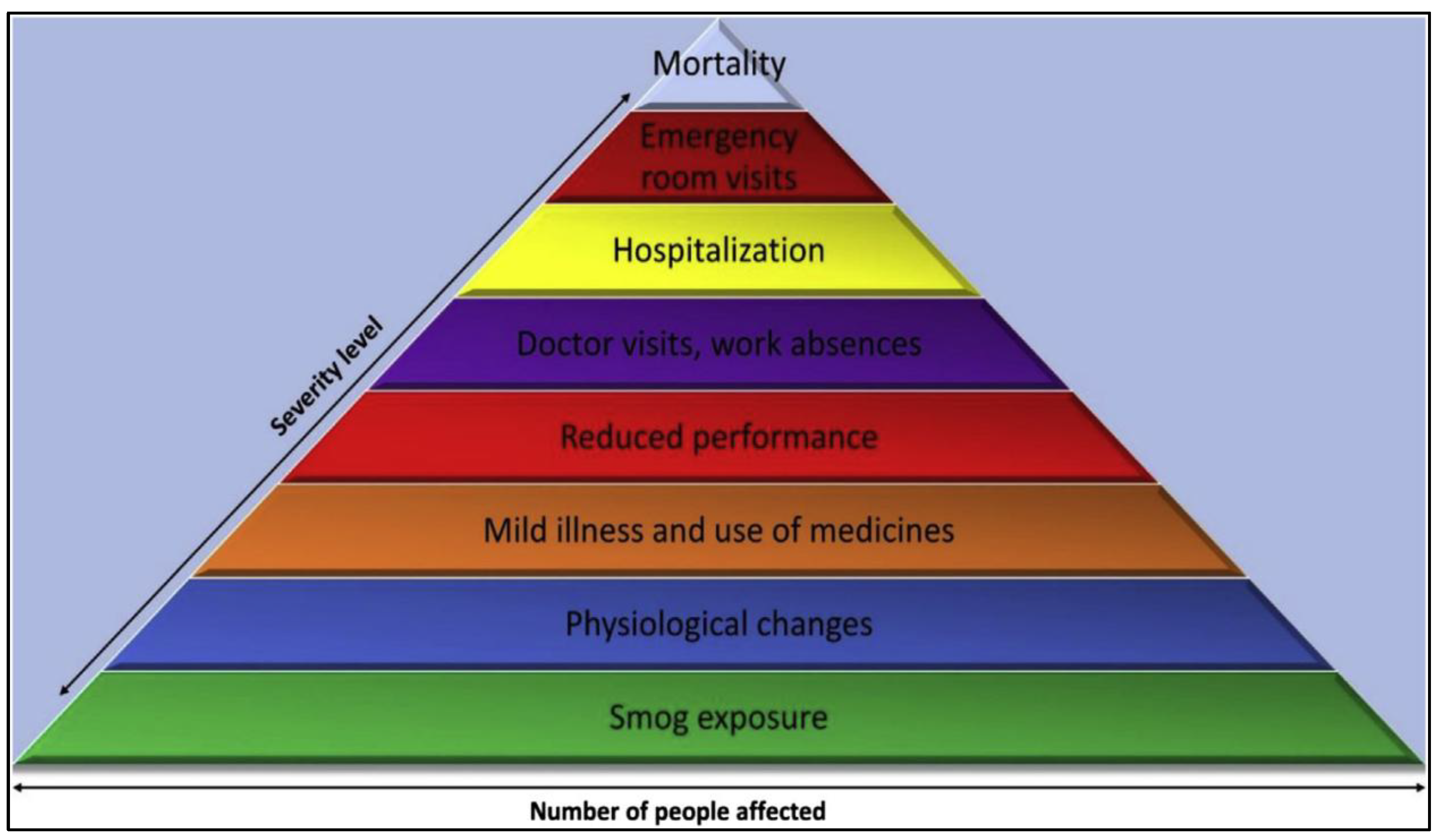 Preprints 147441 g004