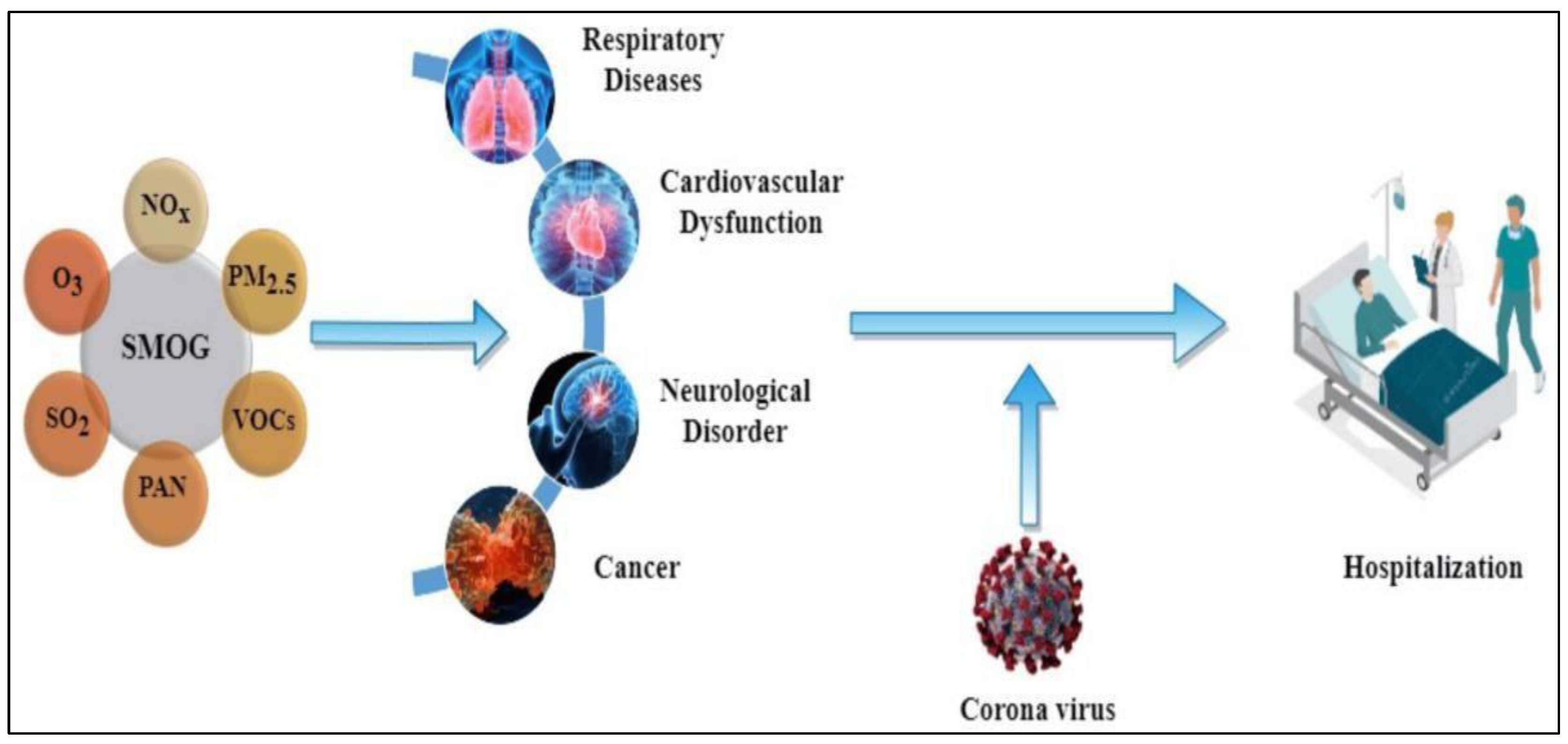 Preprints 147441 g005