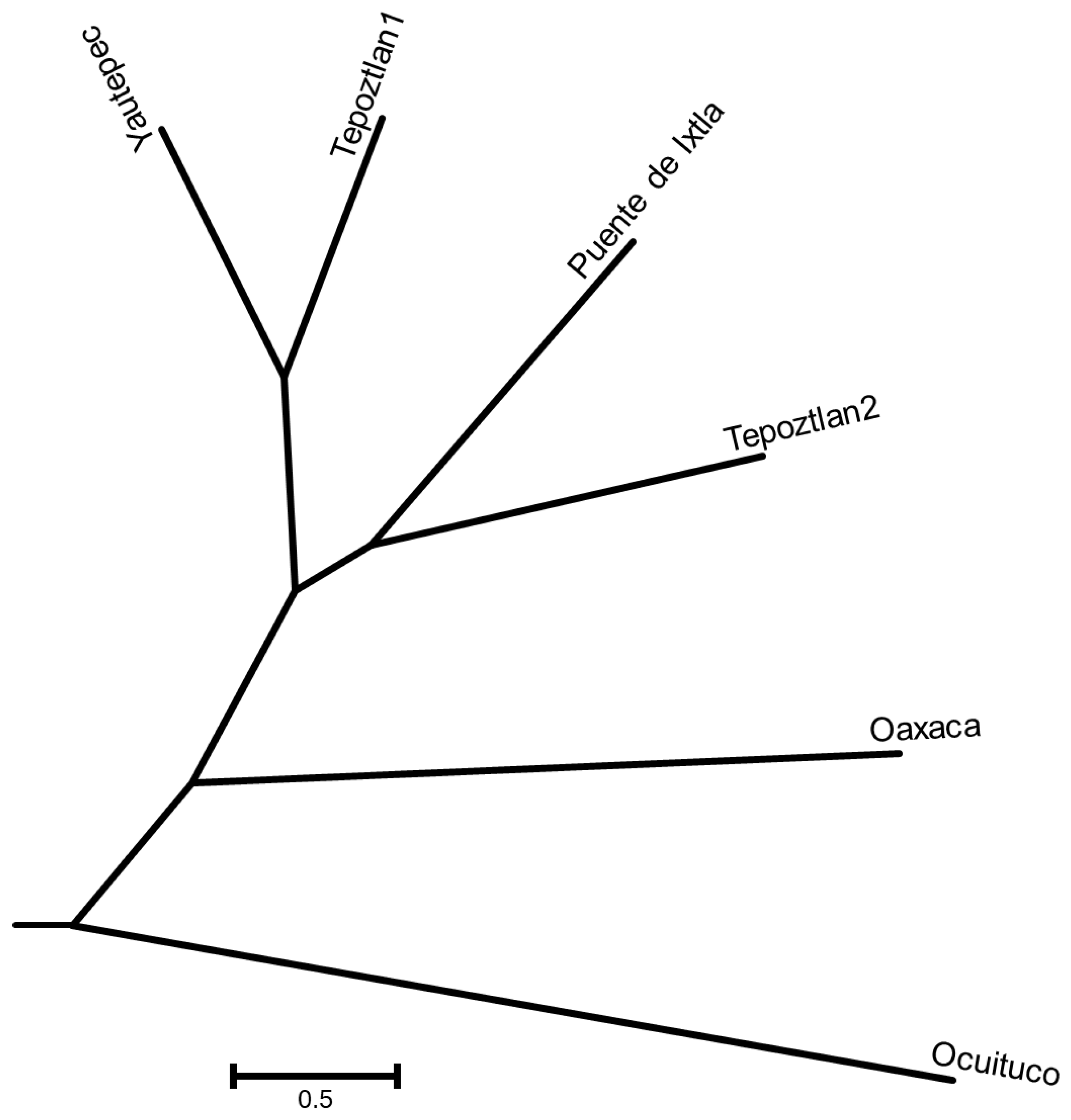 Preprints 163913 g001