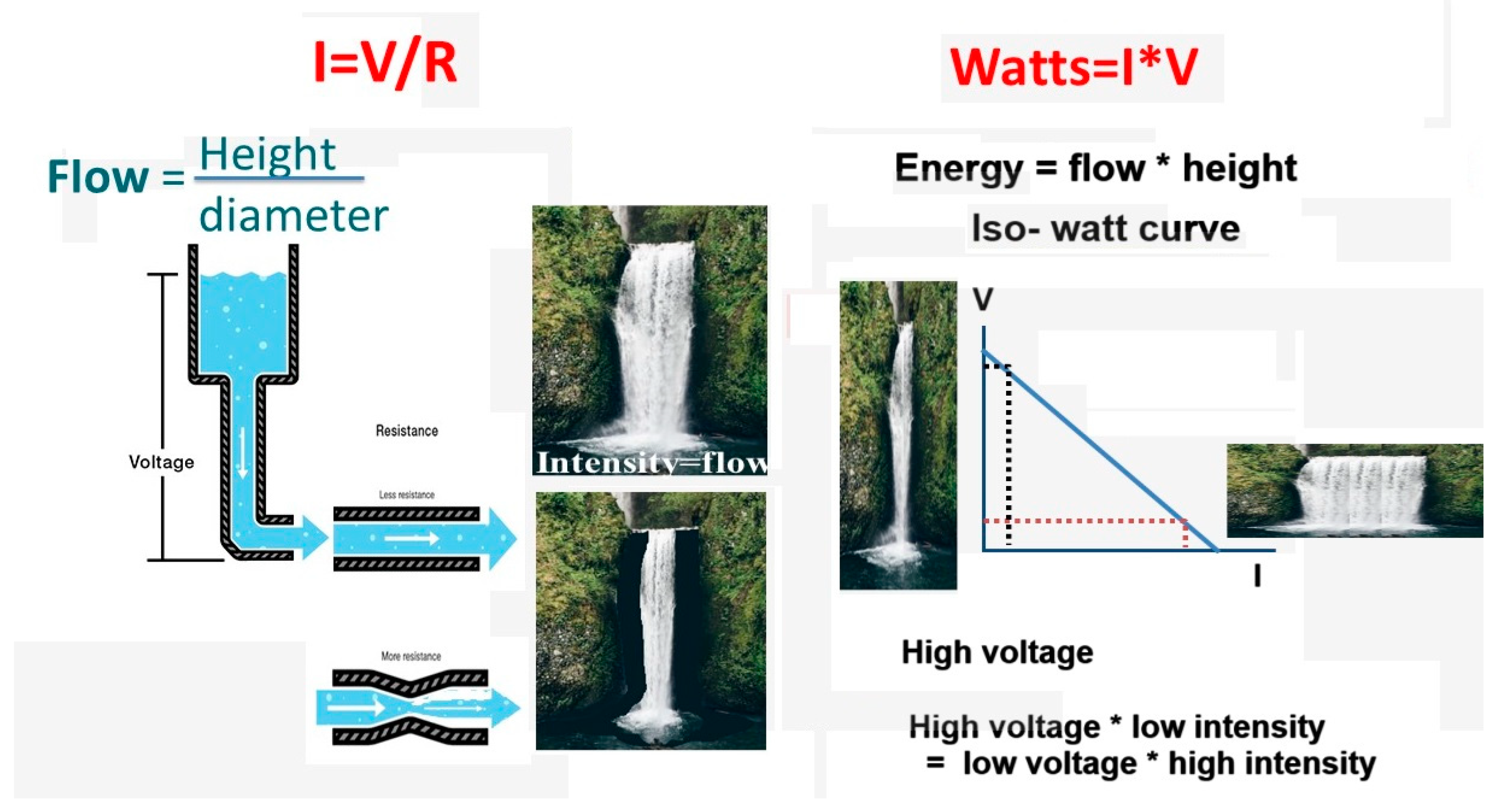 Preprints 97571 g001