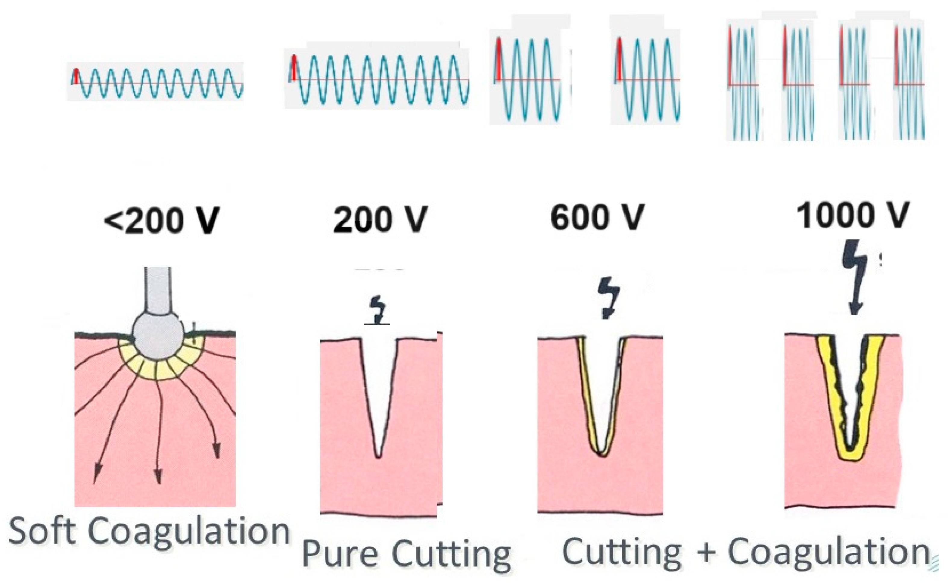 Preprints 97571 g003