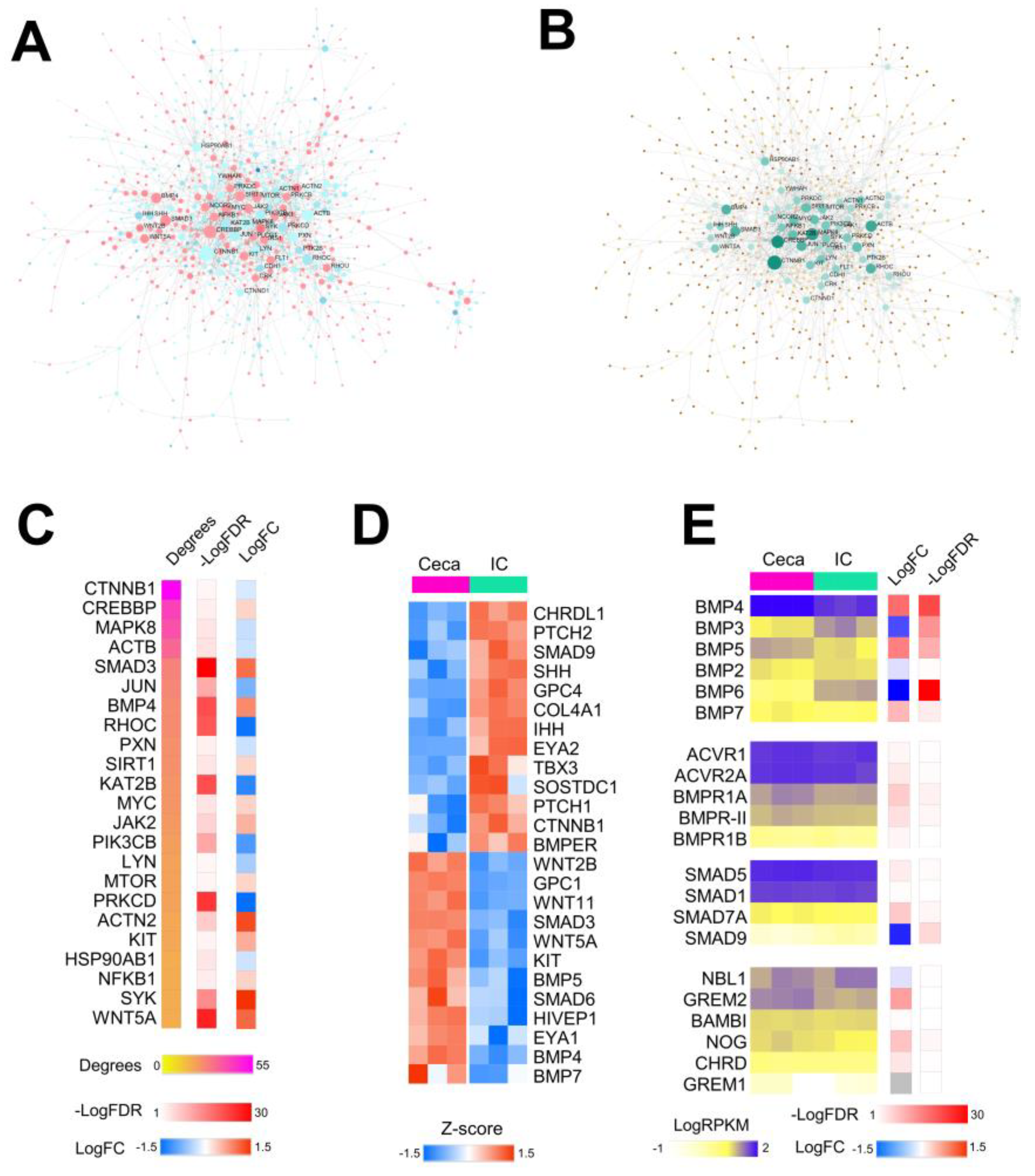 Preprints 84036 g001