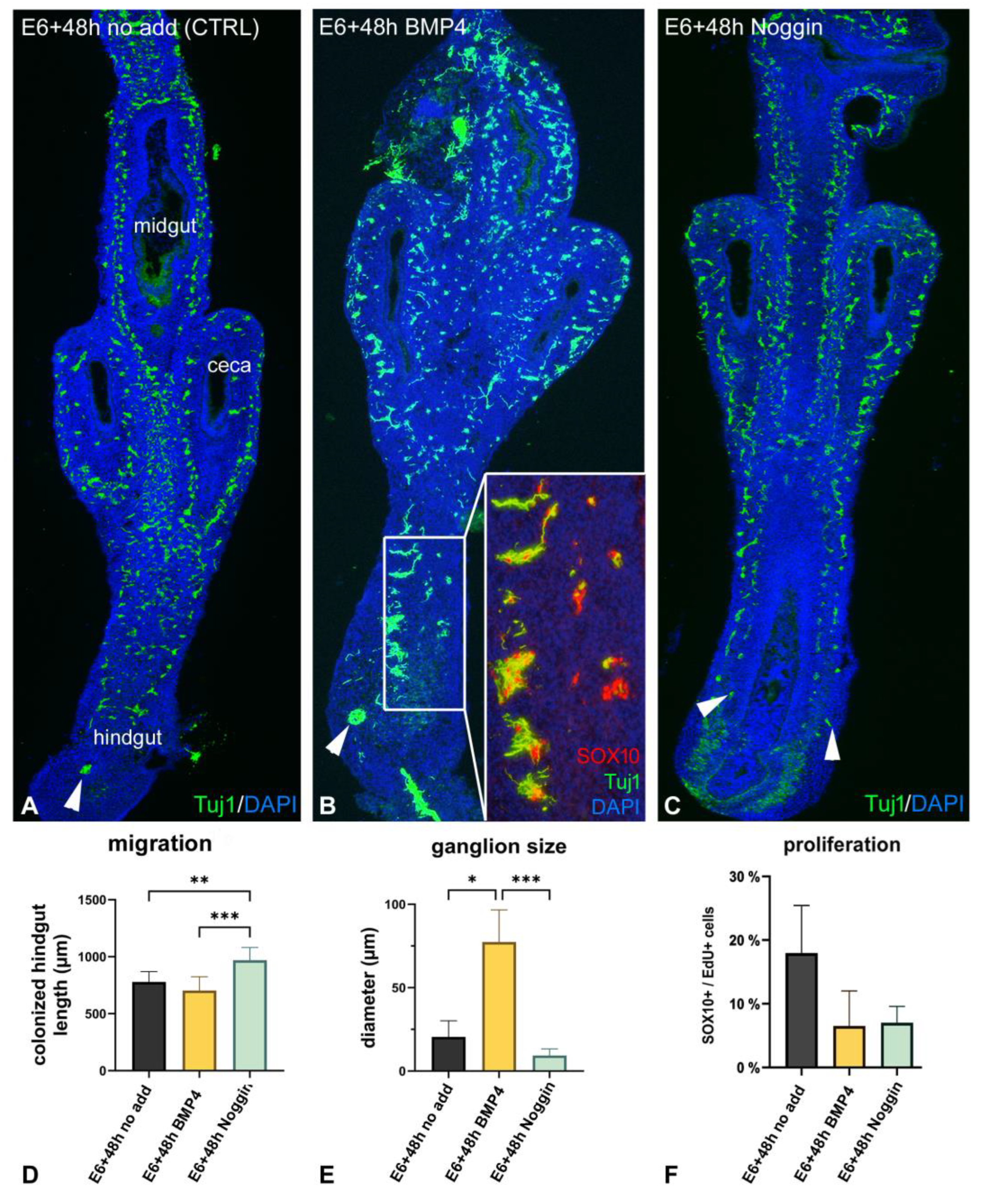 Preprints 84036 g004
