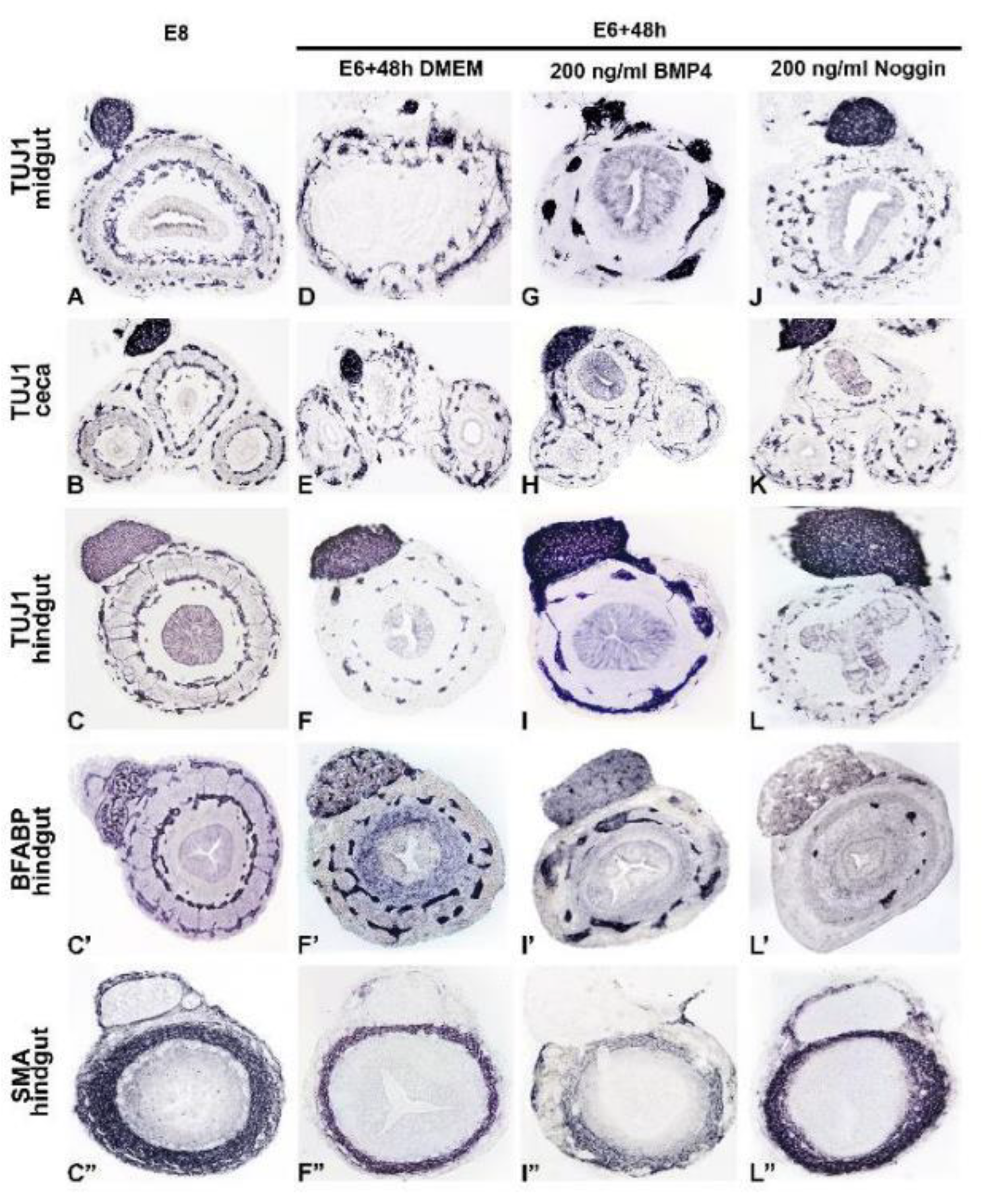 Preprints 84036 g005