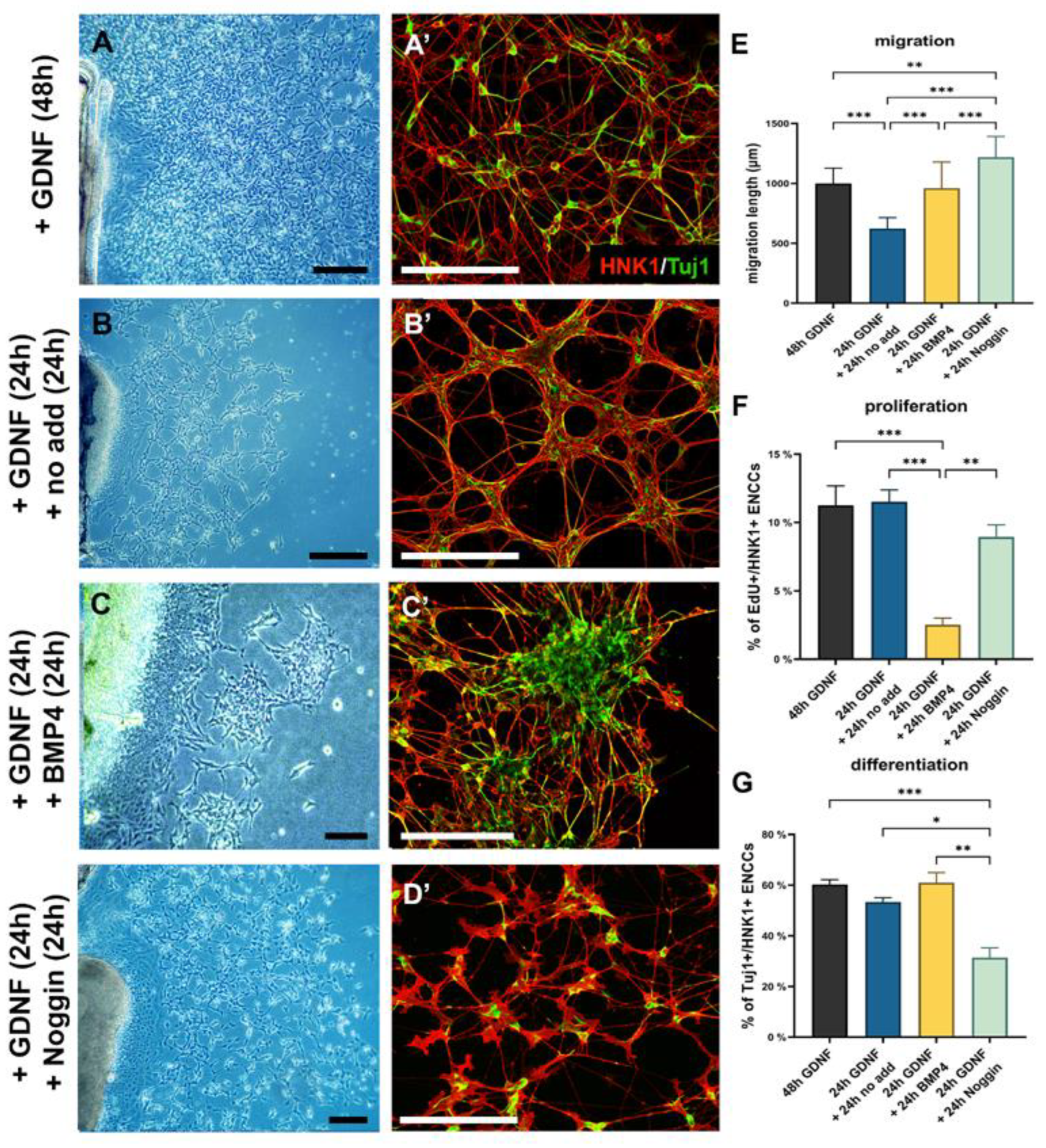 Preprints 84036 g007