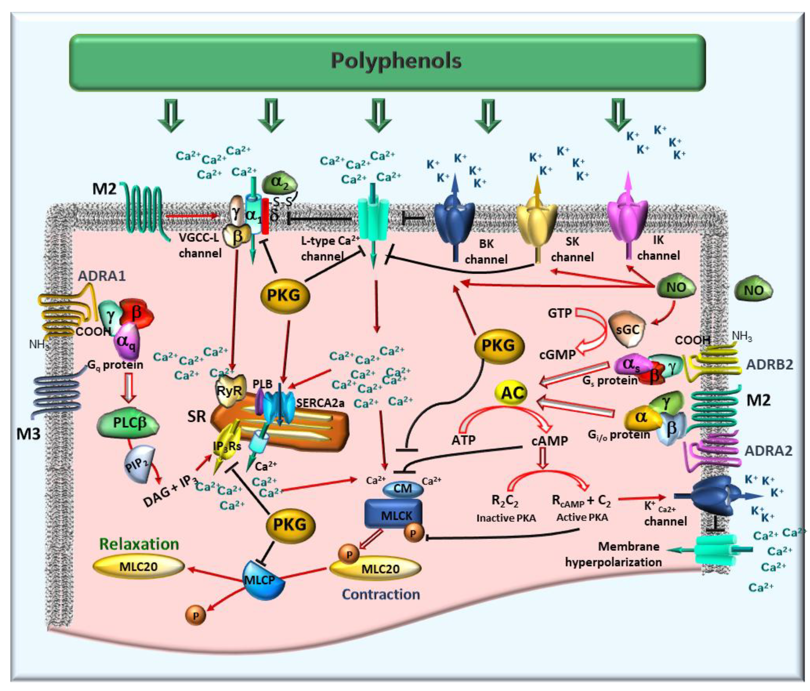 Preprints 172883 g003