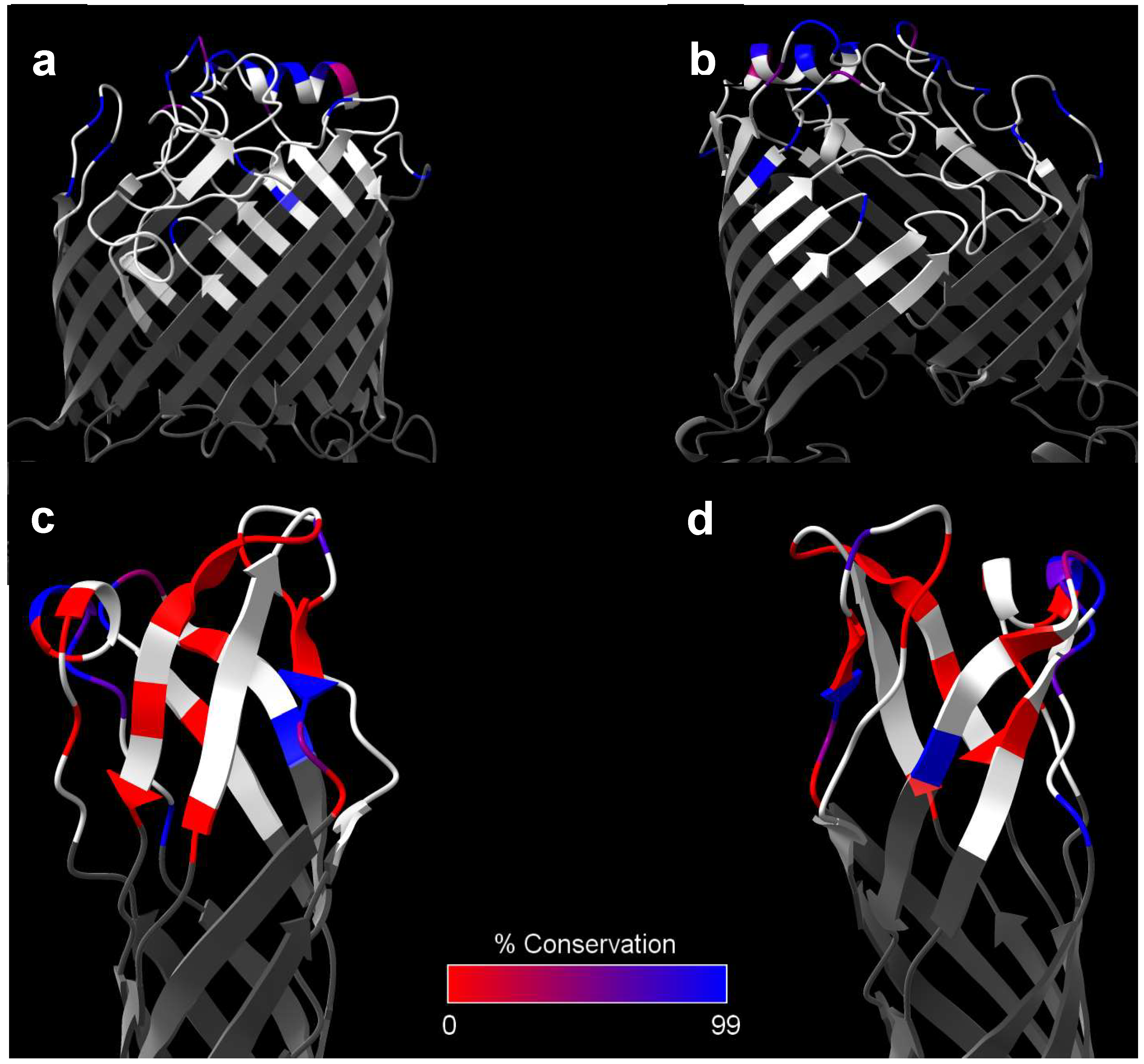 Preprints 96573 g002