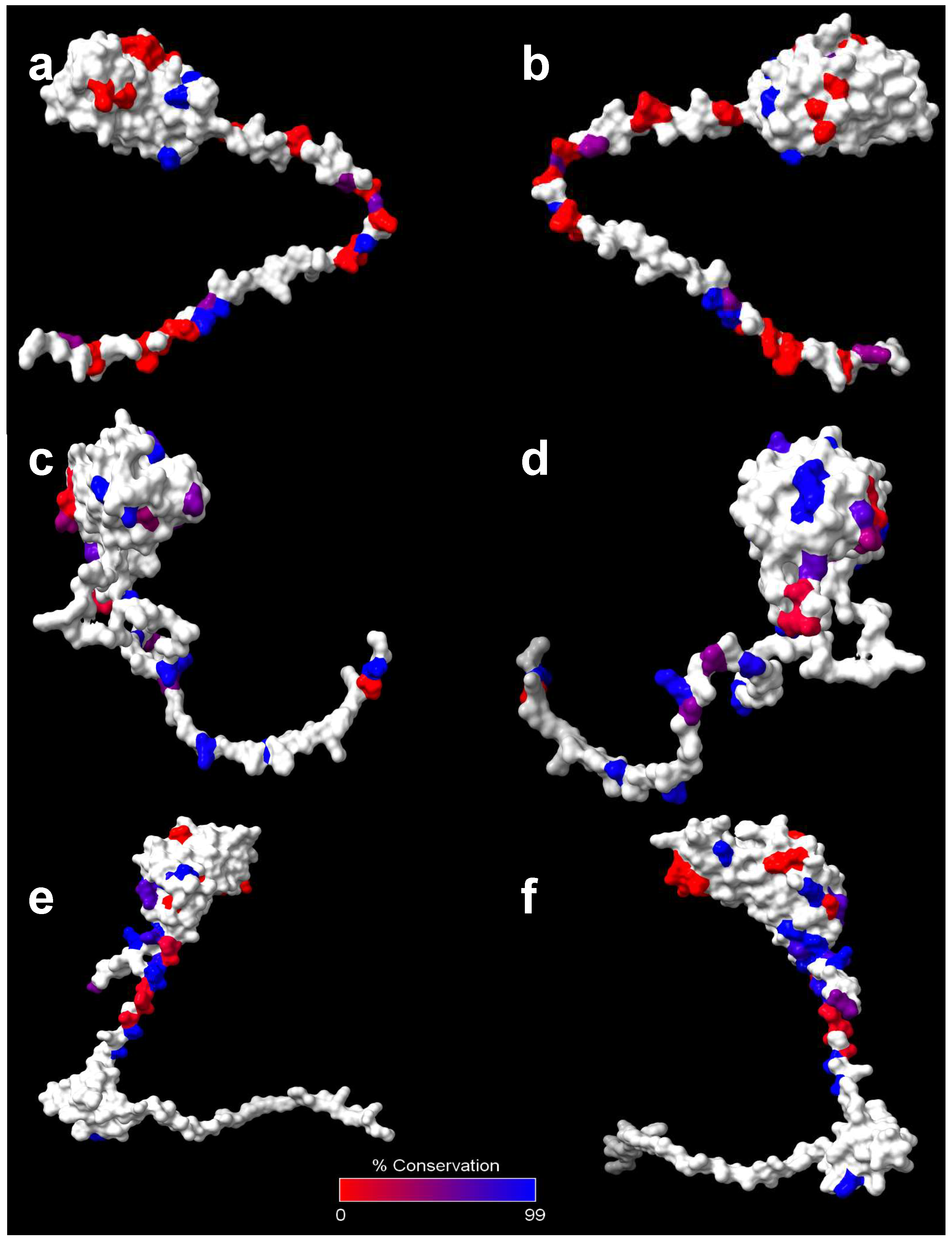 Preprints 96573 g003