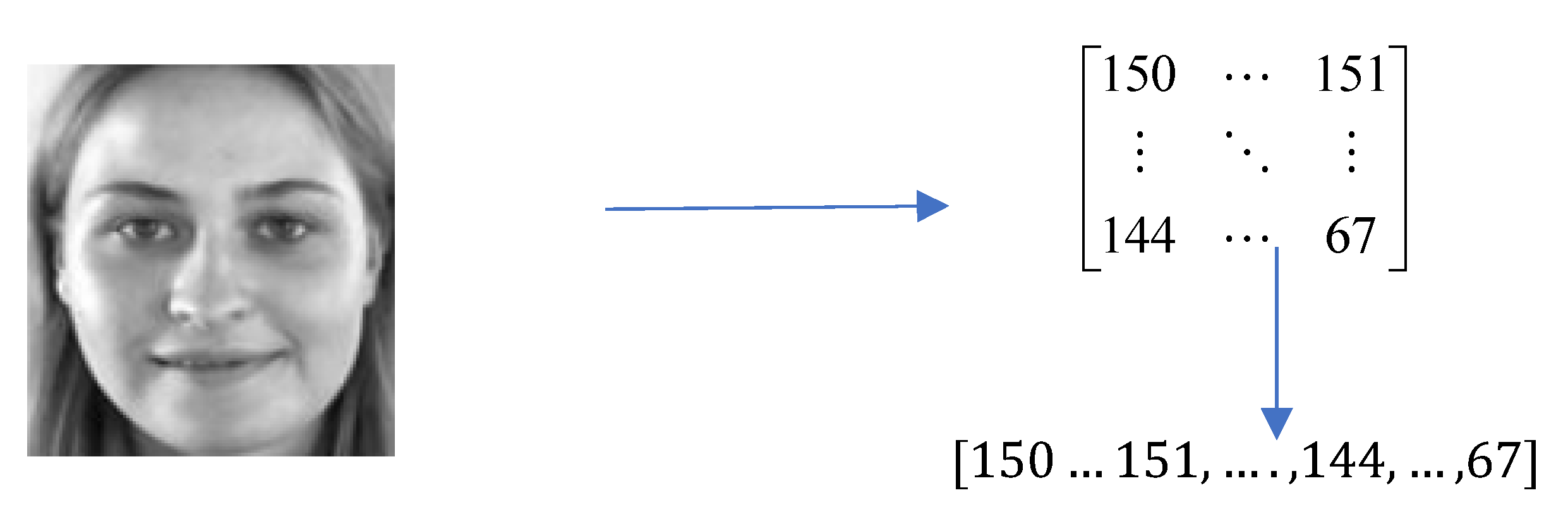 Preprints 108304 g019