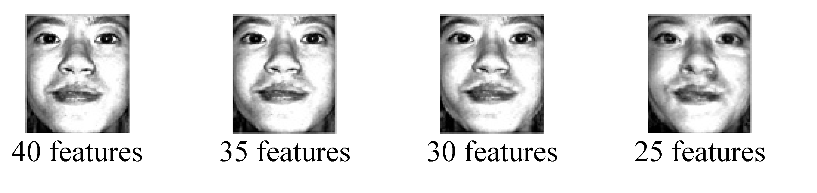 Preprints 108304 g021a