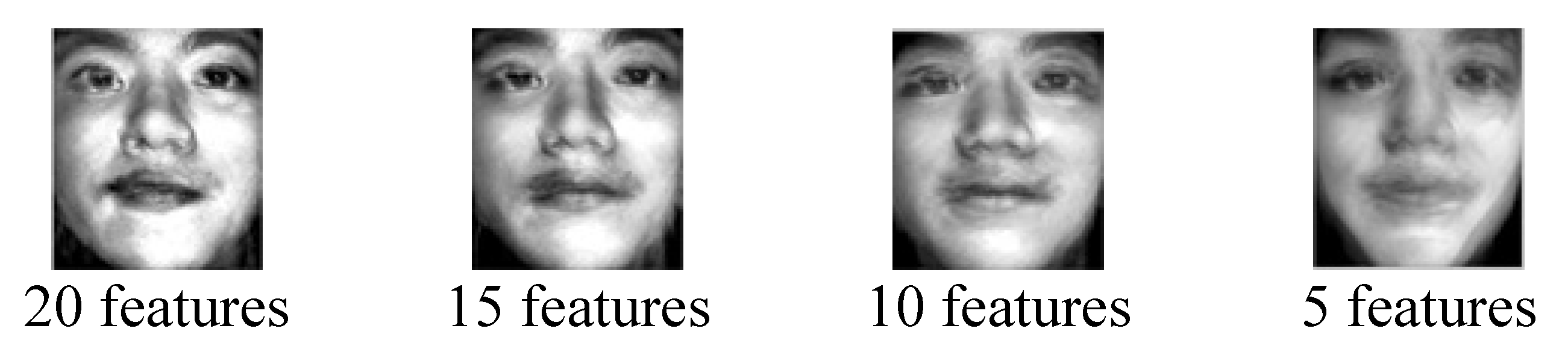 Preprints 108304 g021b