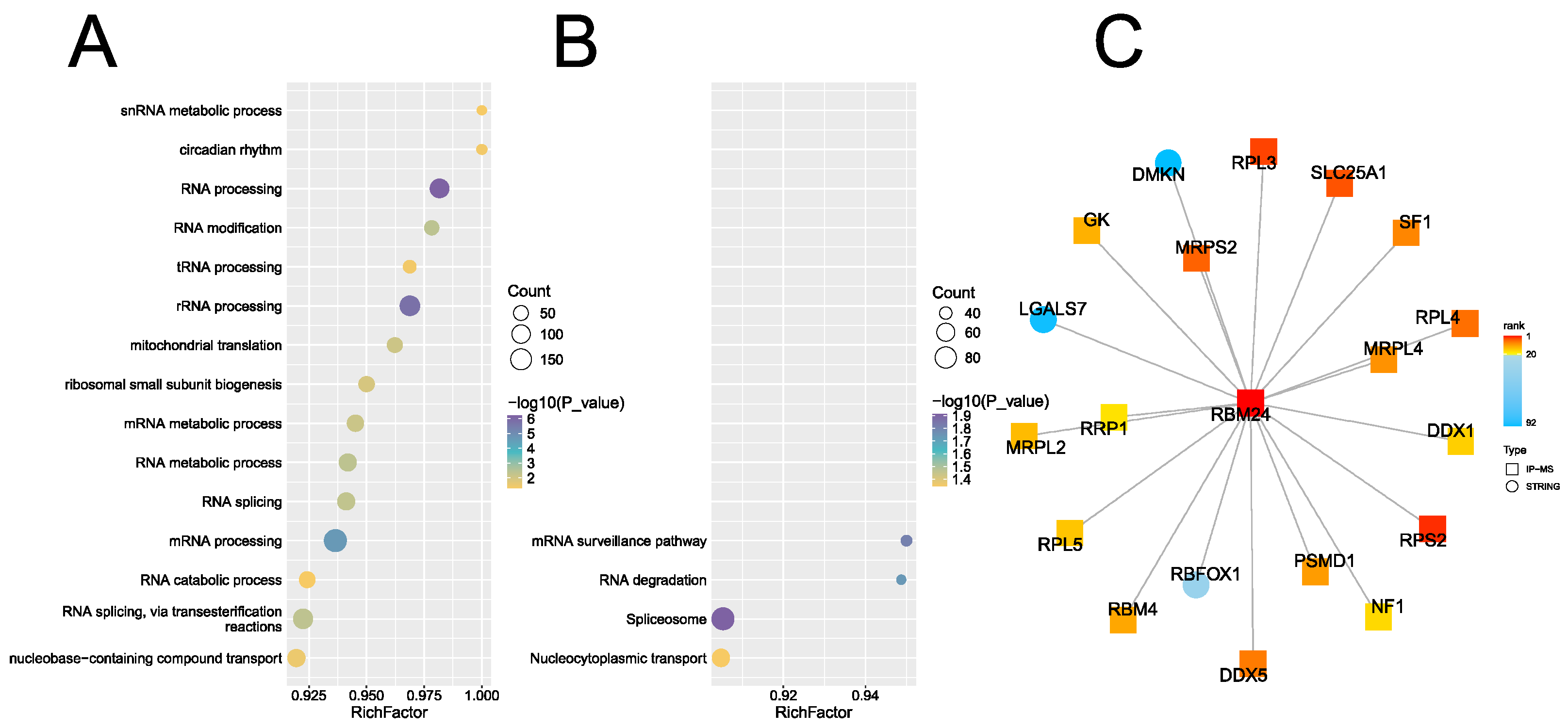 Preprints 167737 g001