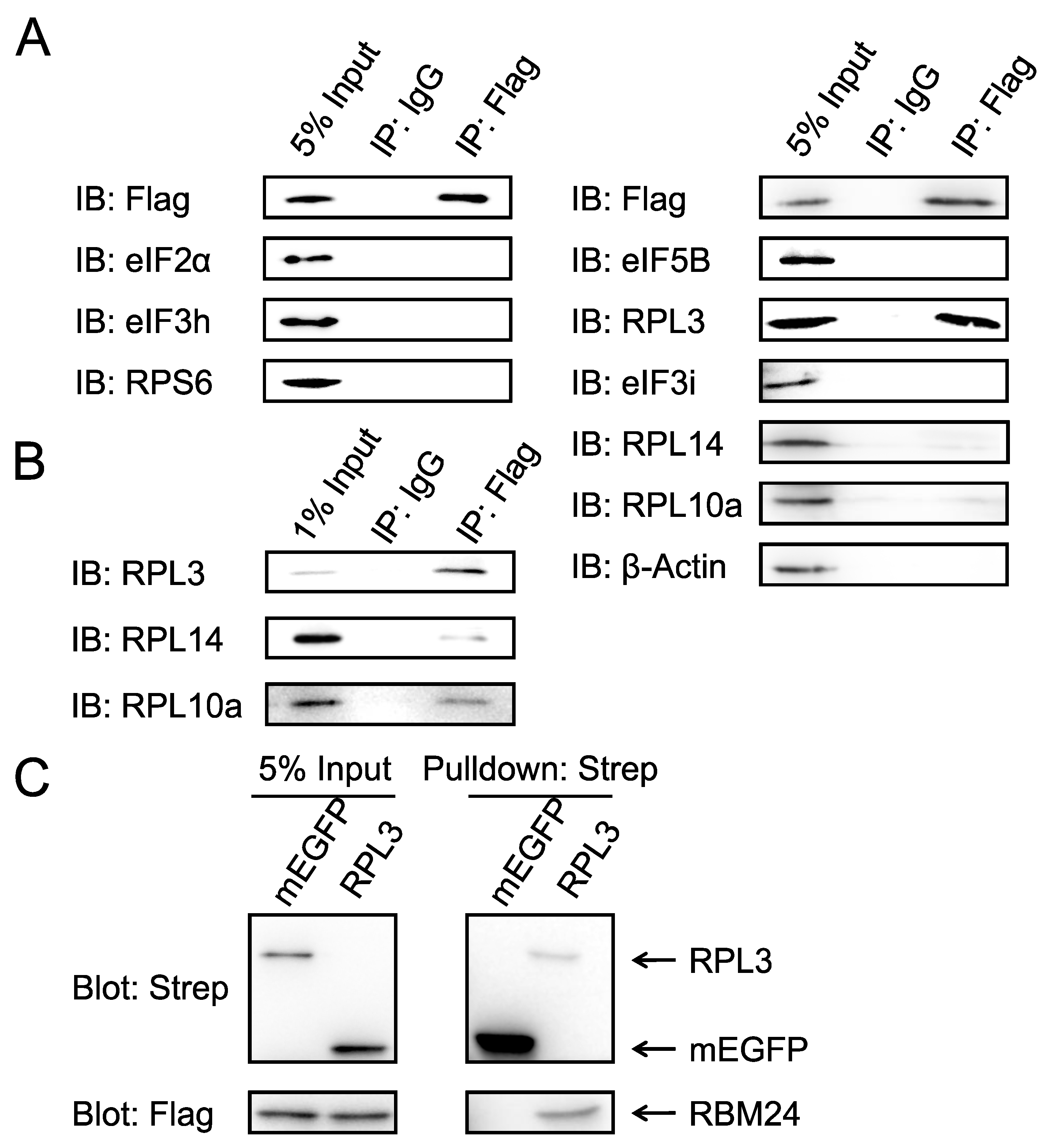 Preprints 167737 g002