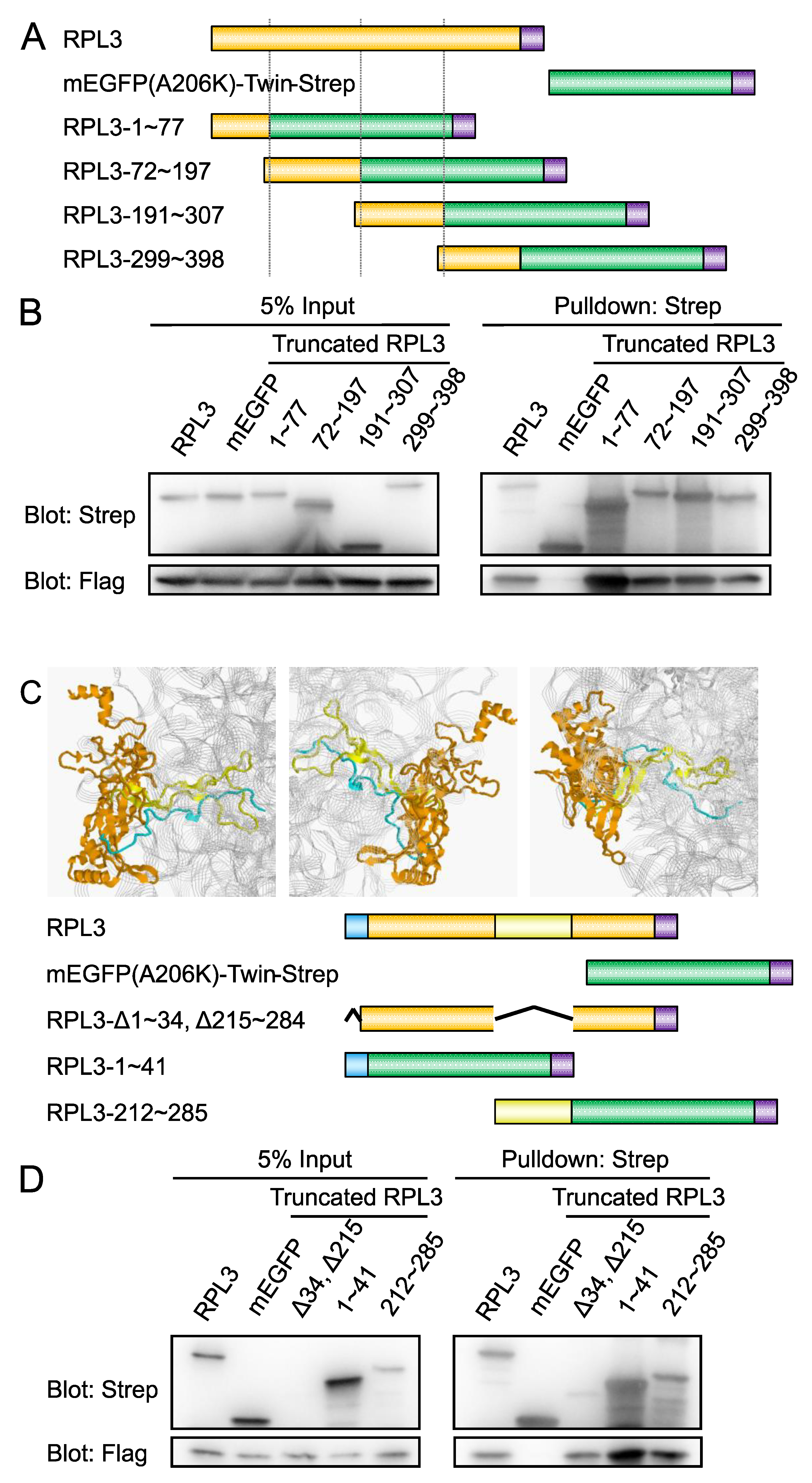Preprints 167737 g003