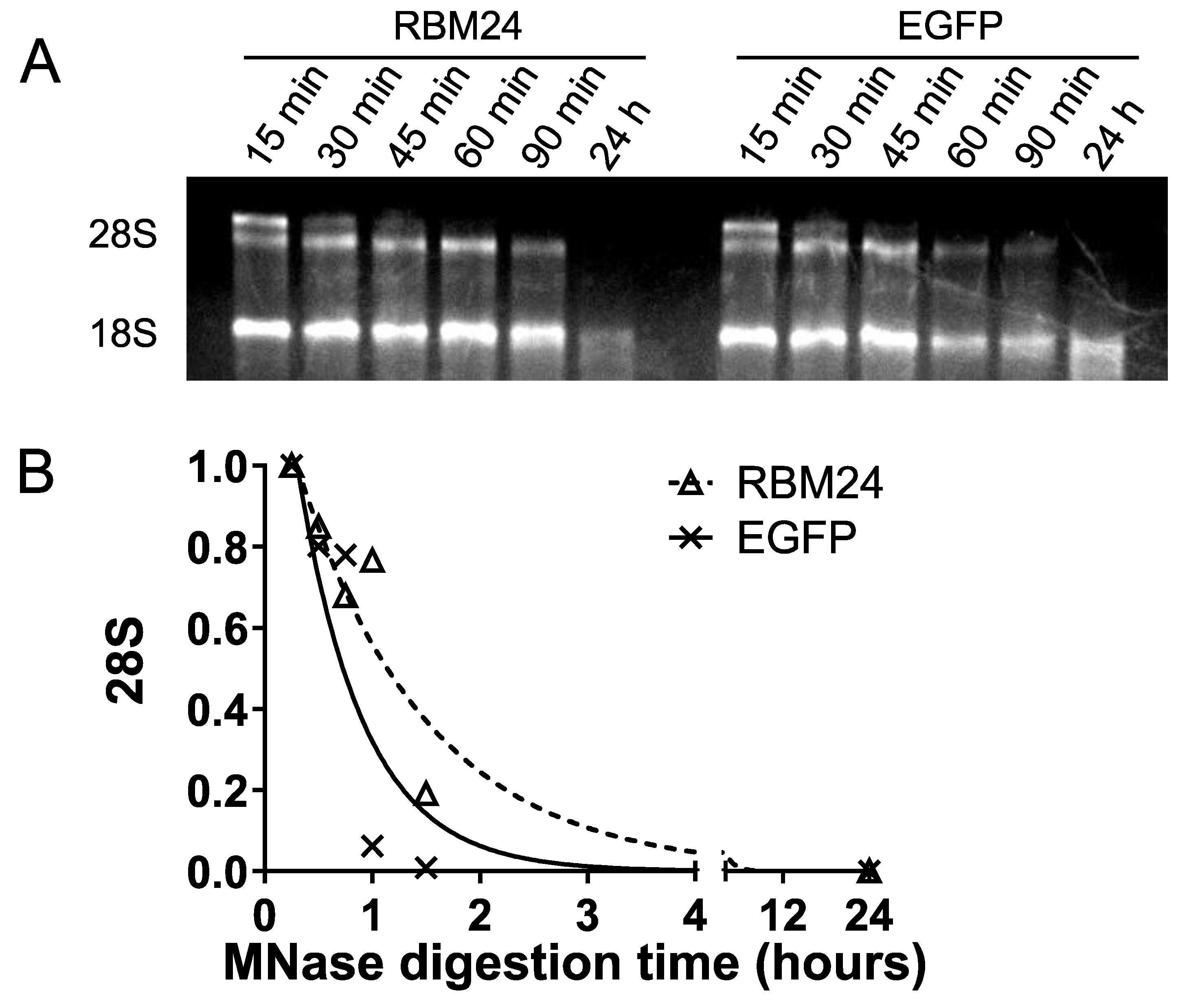 Preprints 167737 g004