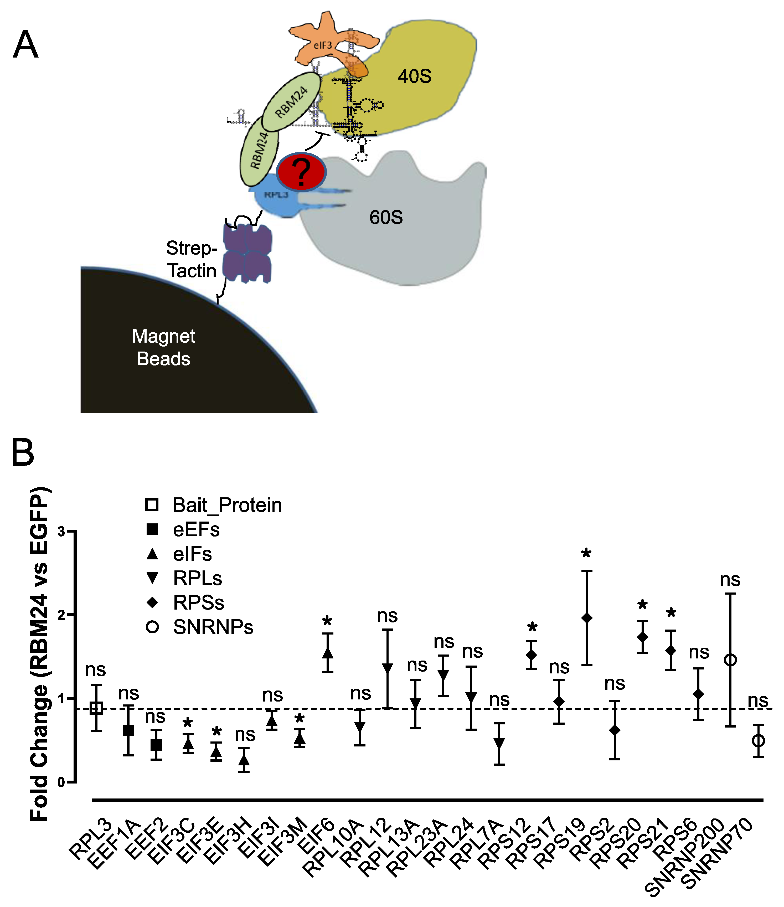 Preprints 167737 g005