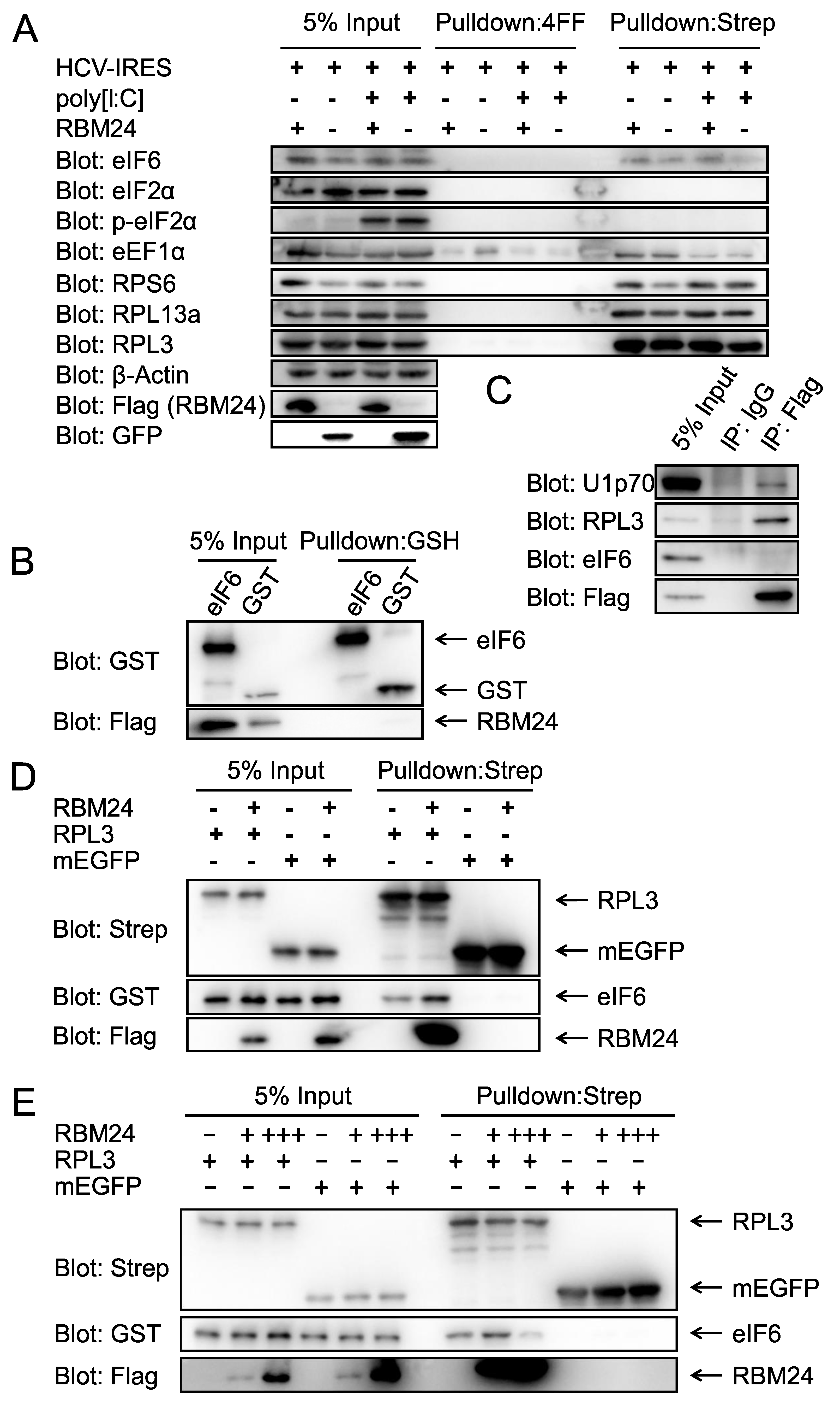 Preprints 167737 g006