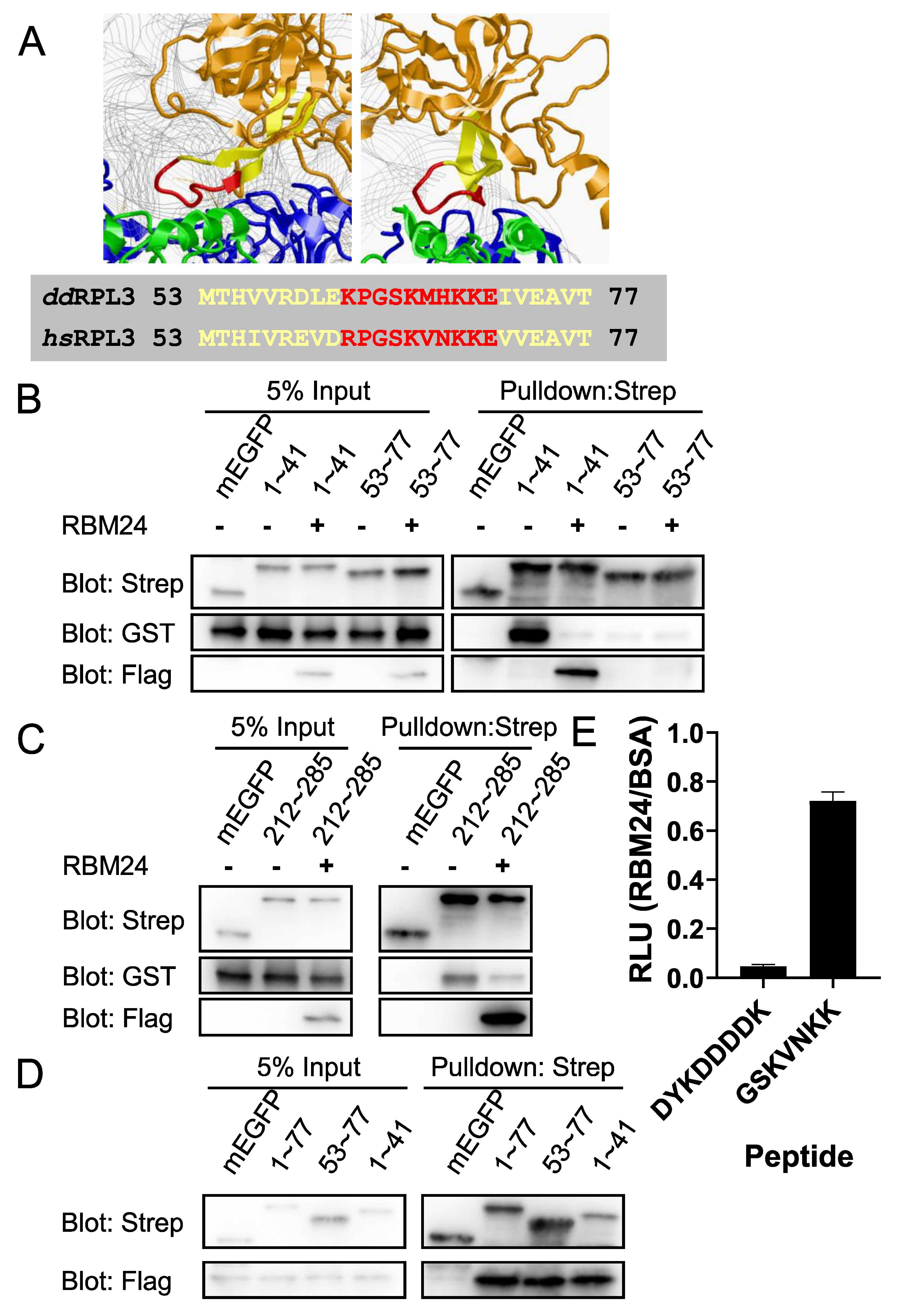 Preprints 167737 g007