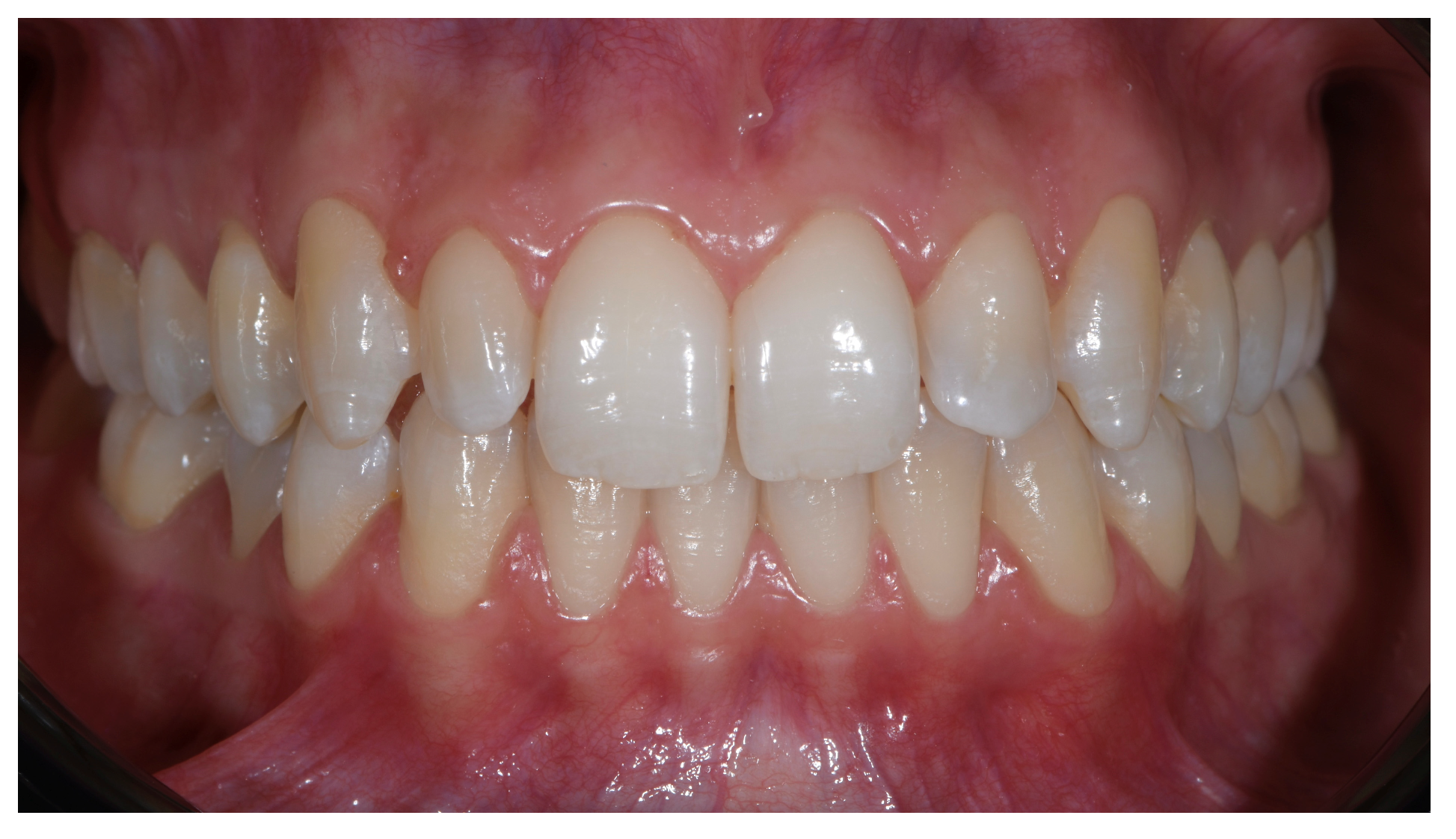 Preprints 162707 g001