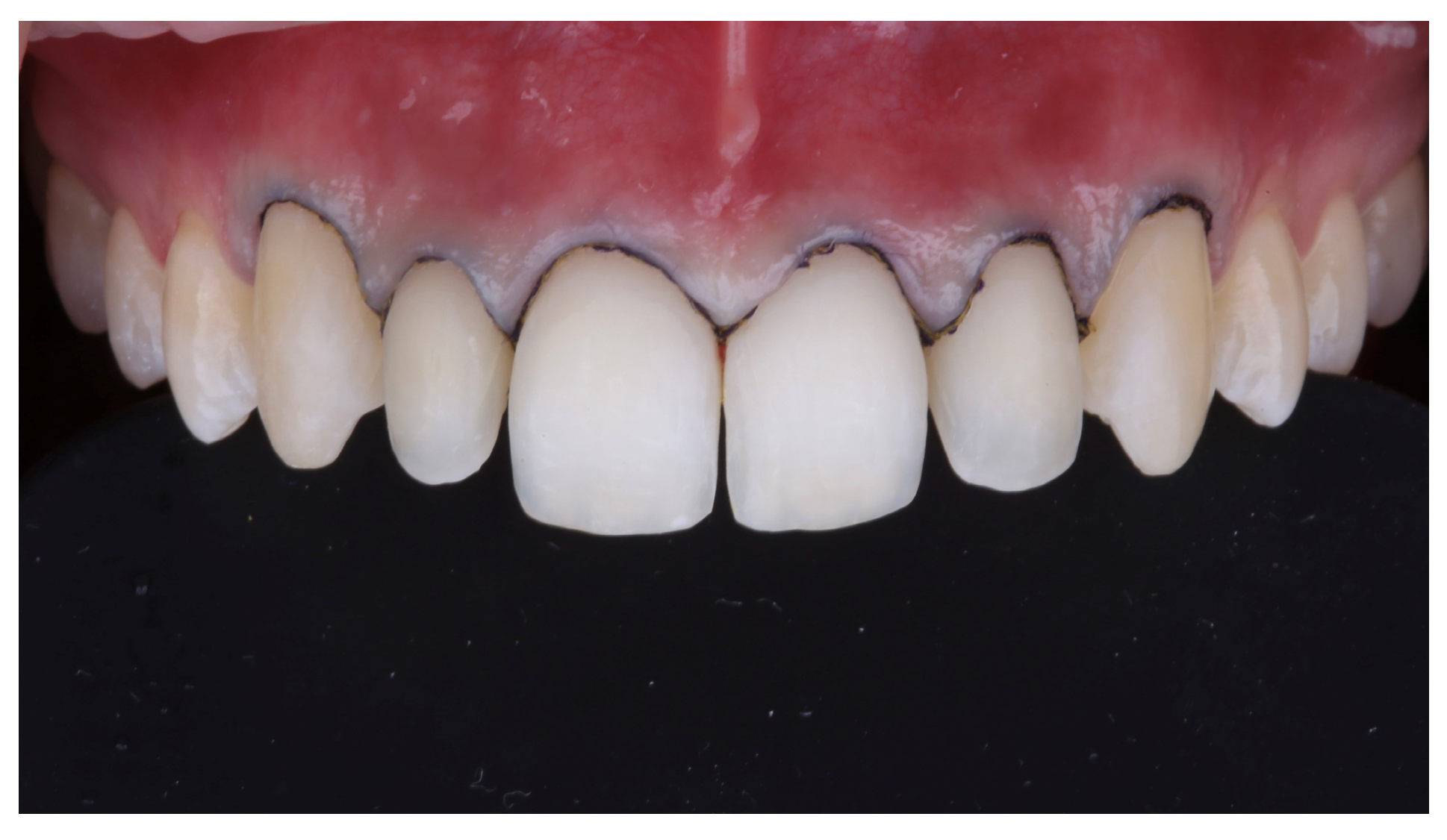 Preprints 162707 g010