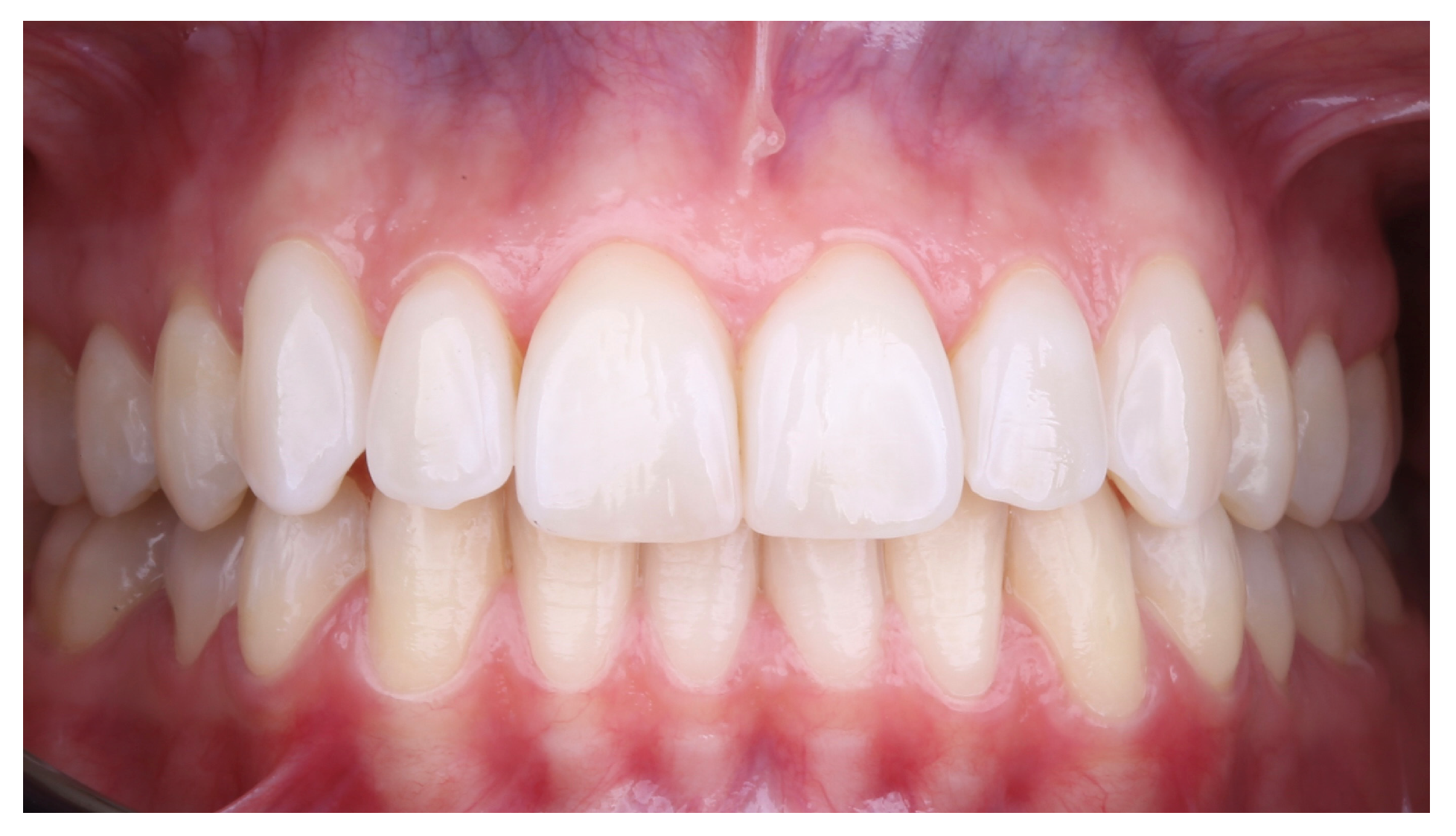 Preprints 162707 g011