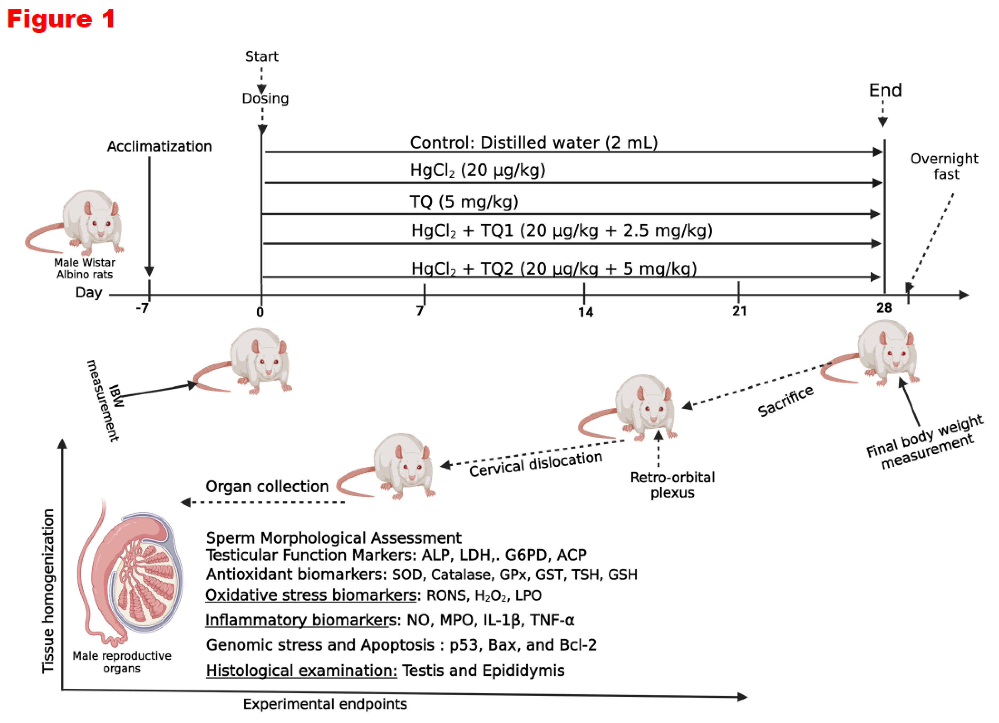 Preprints 172624 g001
