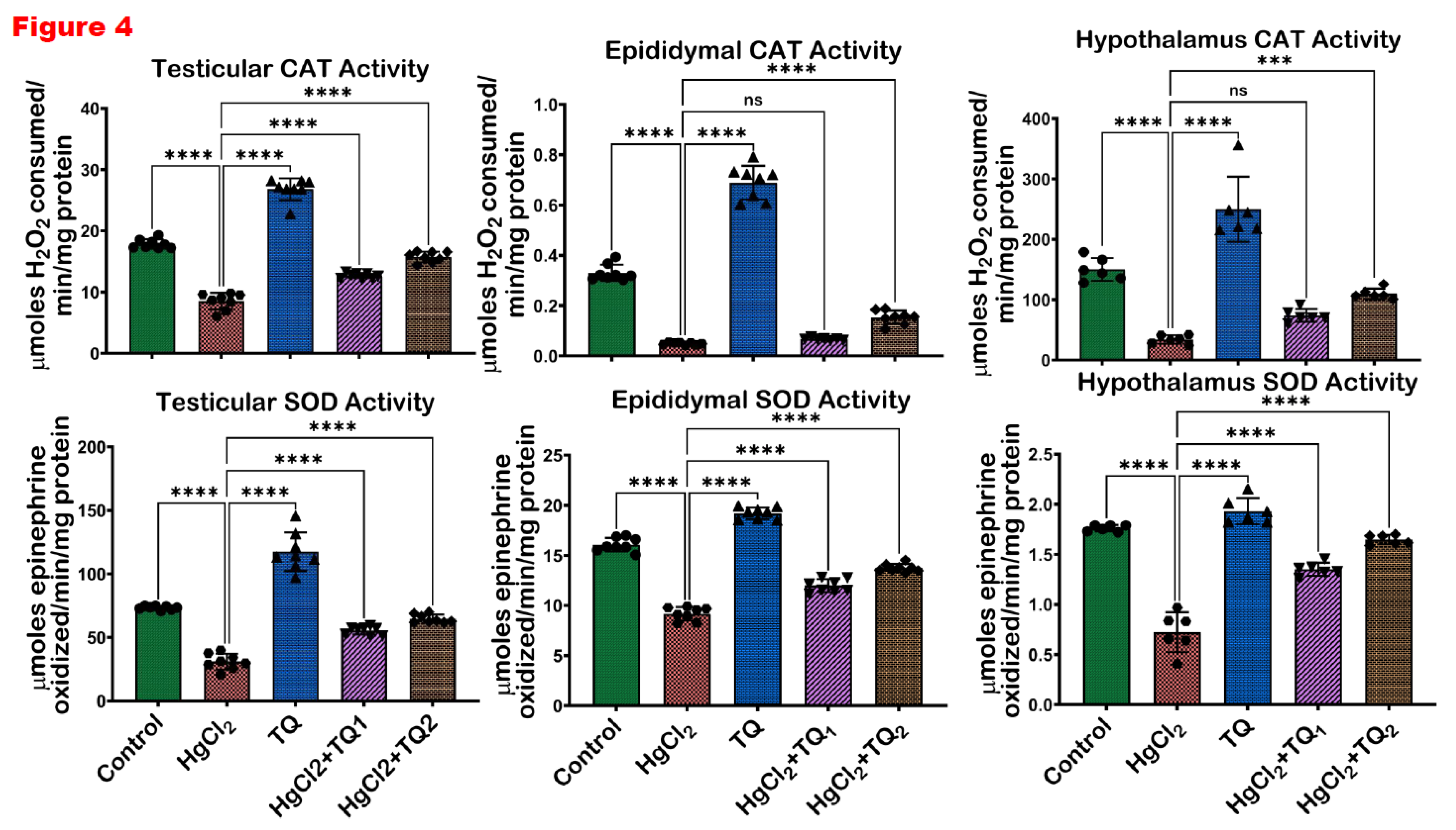 Preprints 172624 g004