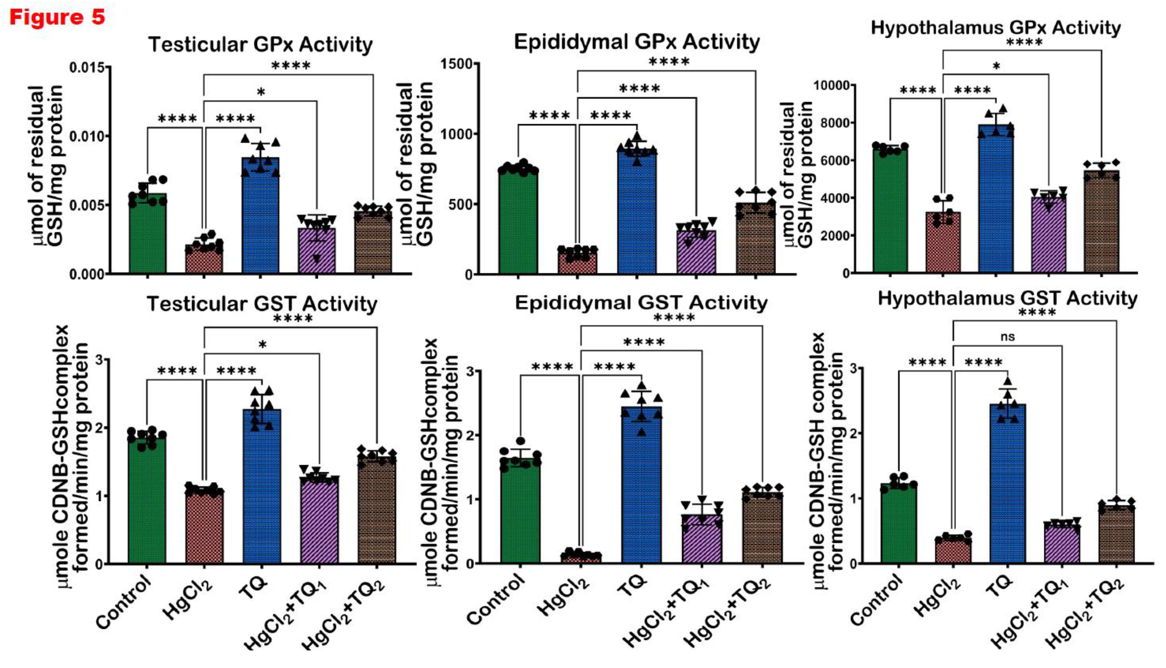 Preprints 172624 g005