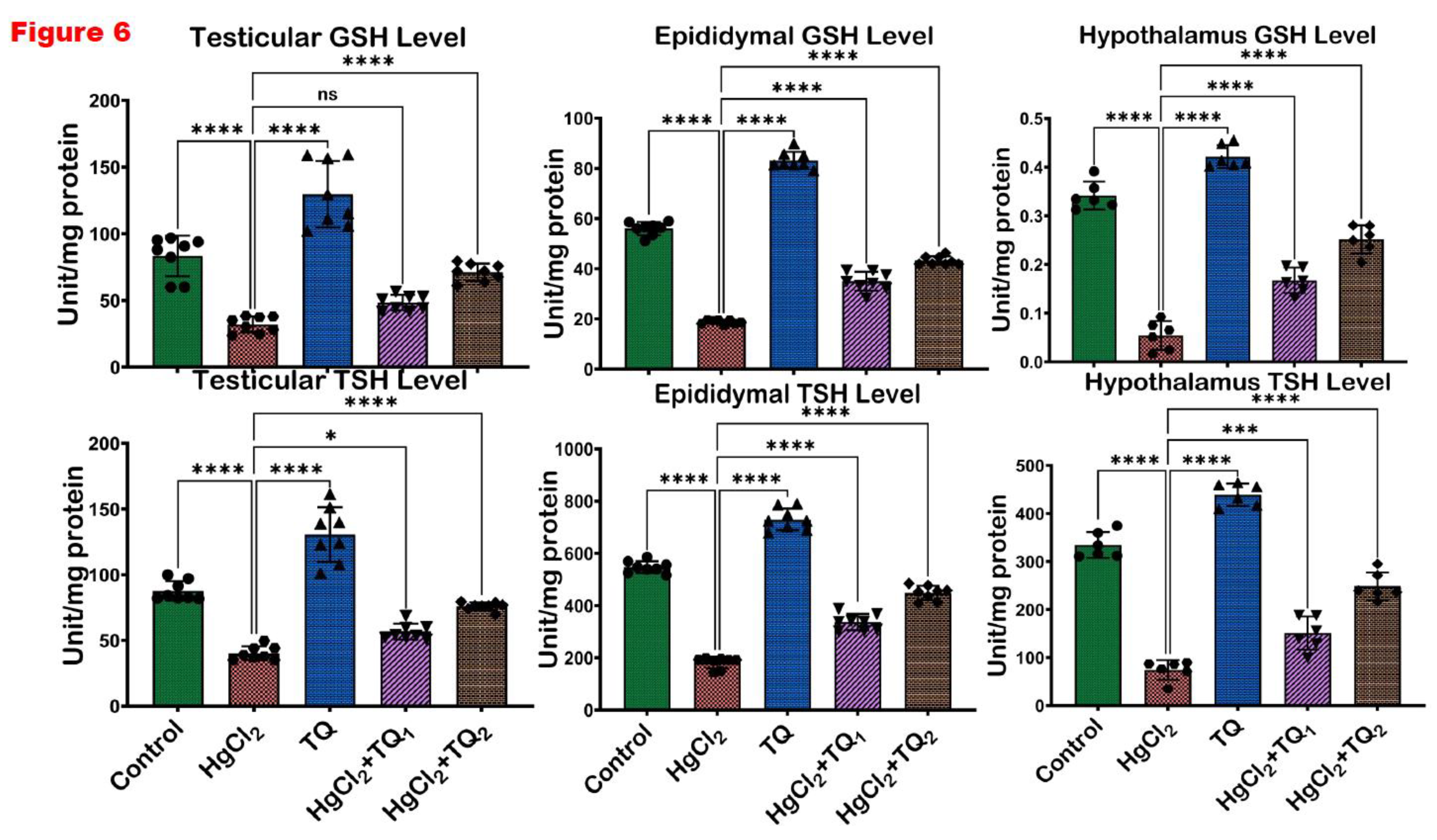 Preprints 172624 g006