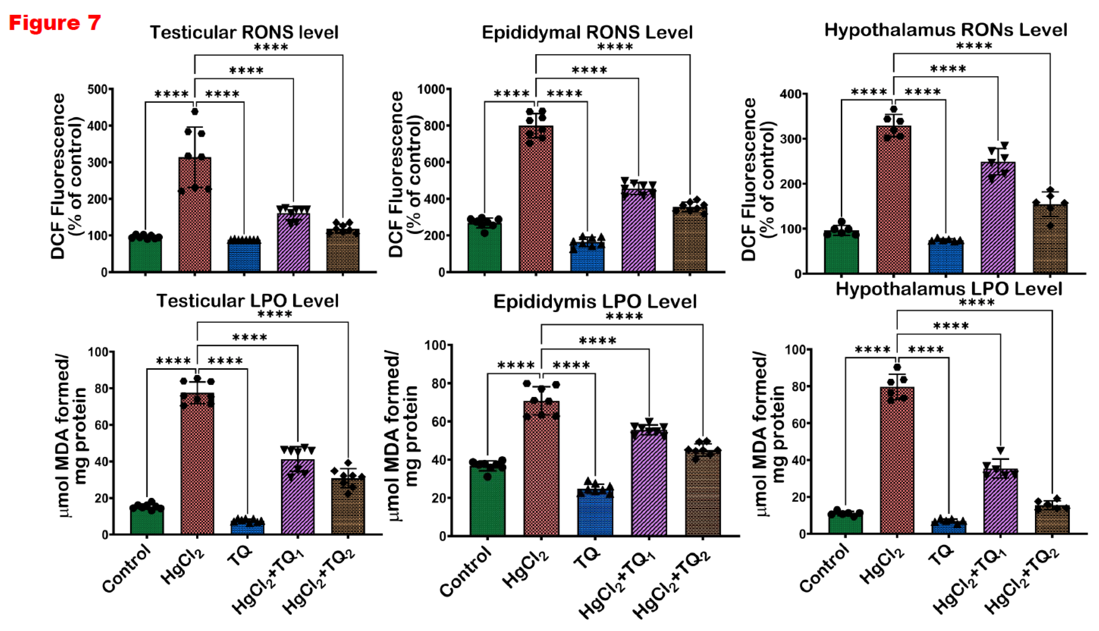 Preprints 172624 g007