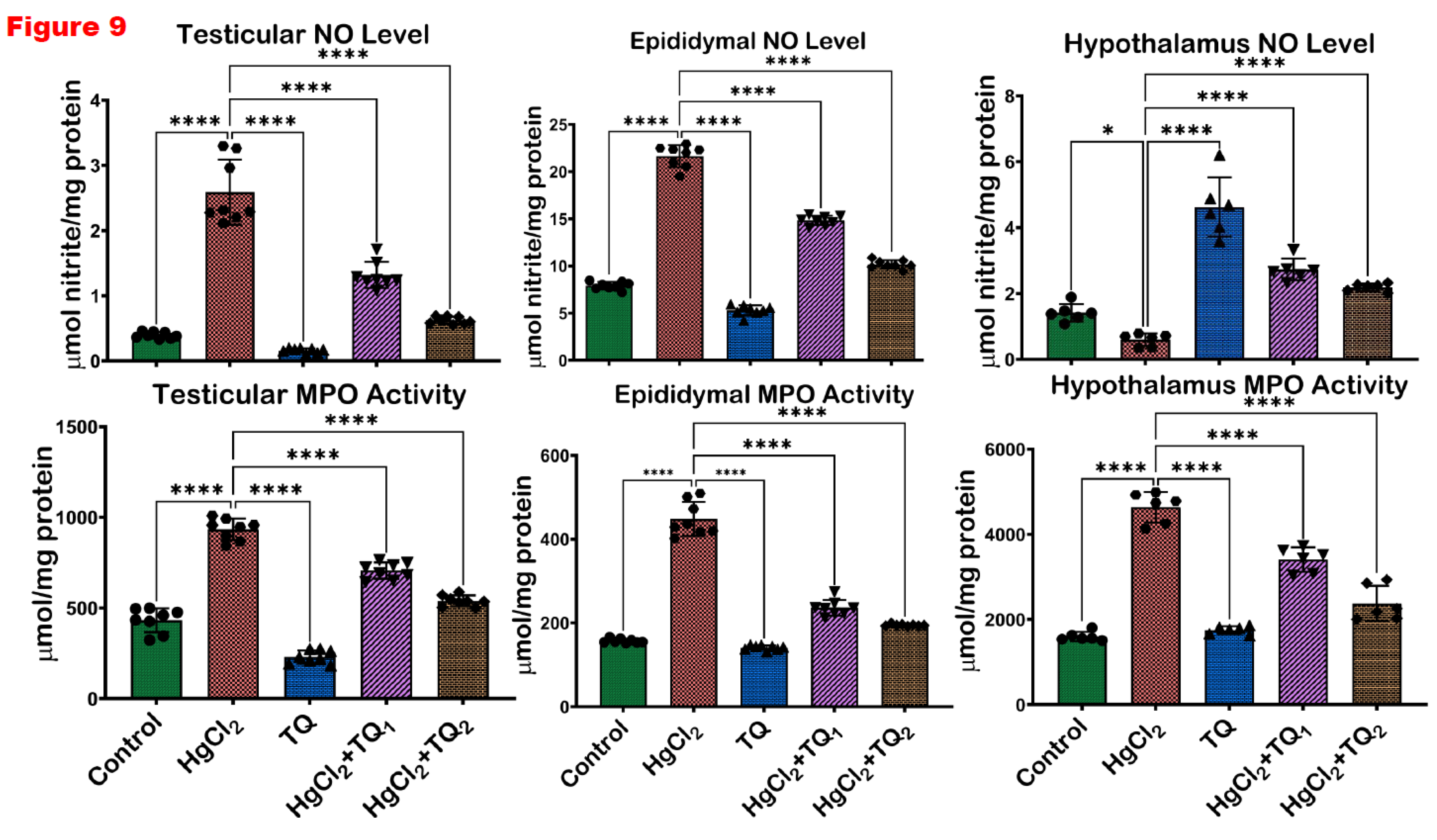 Preprints 172624 g009