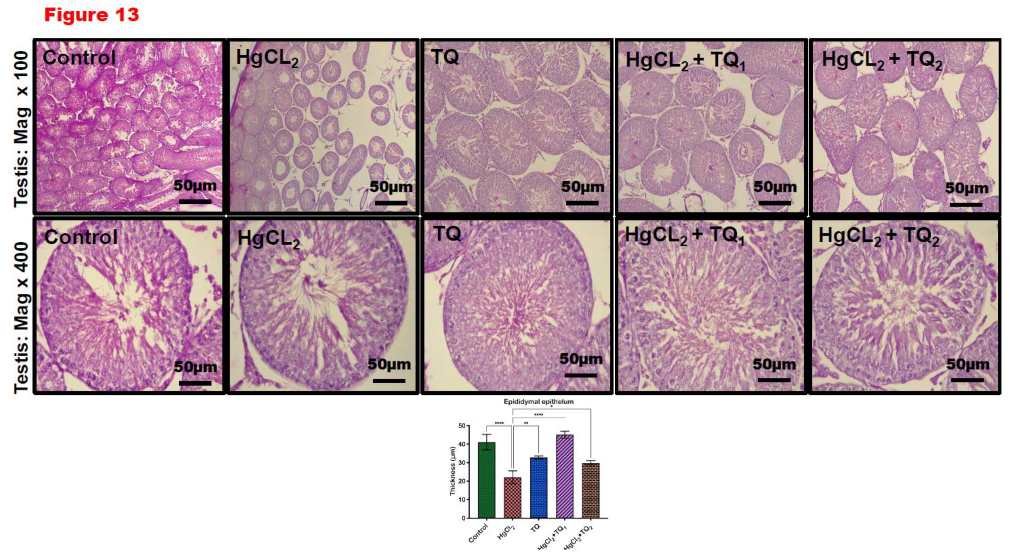 Preprints 172624 g013