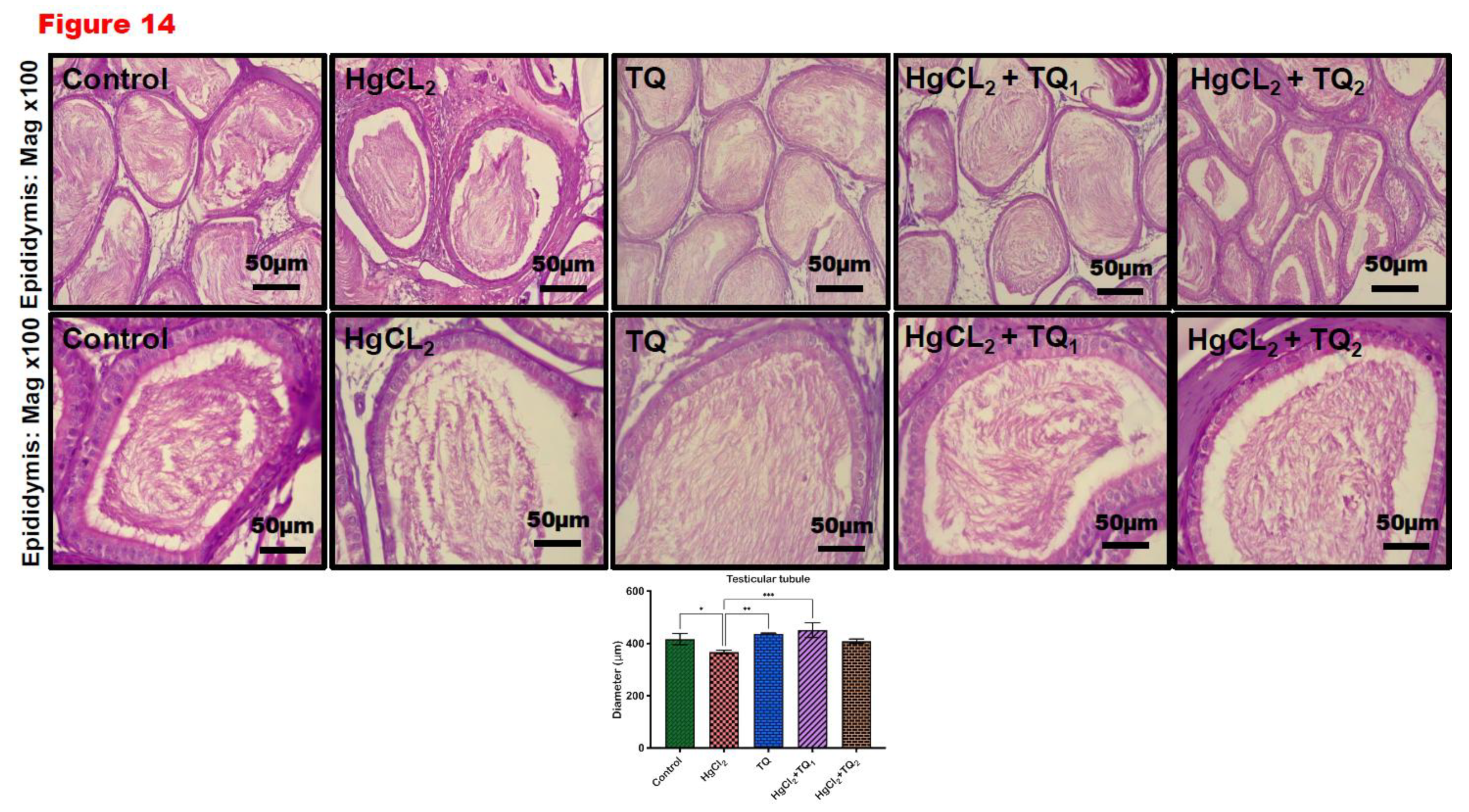 Preprints 172624 g014