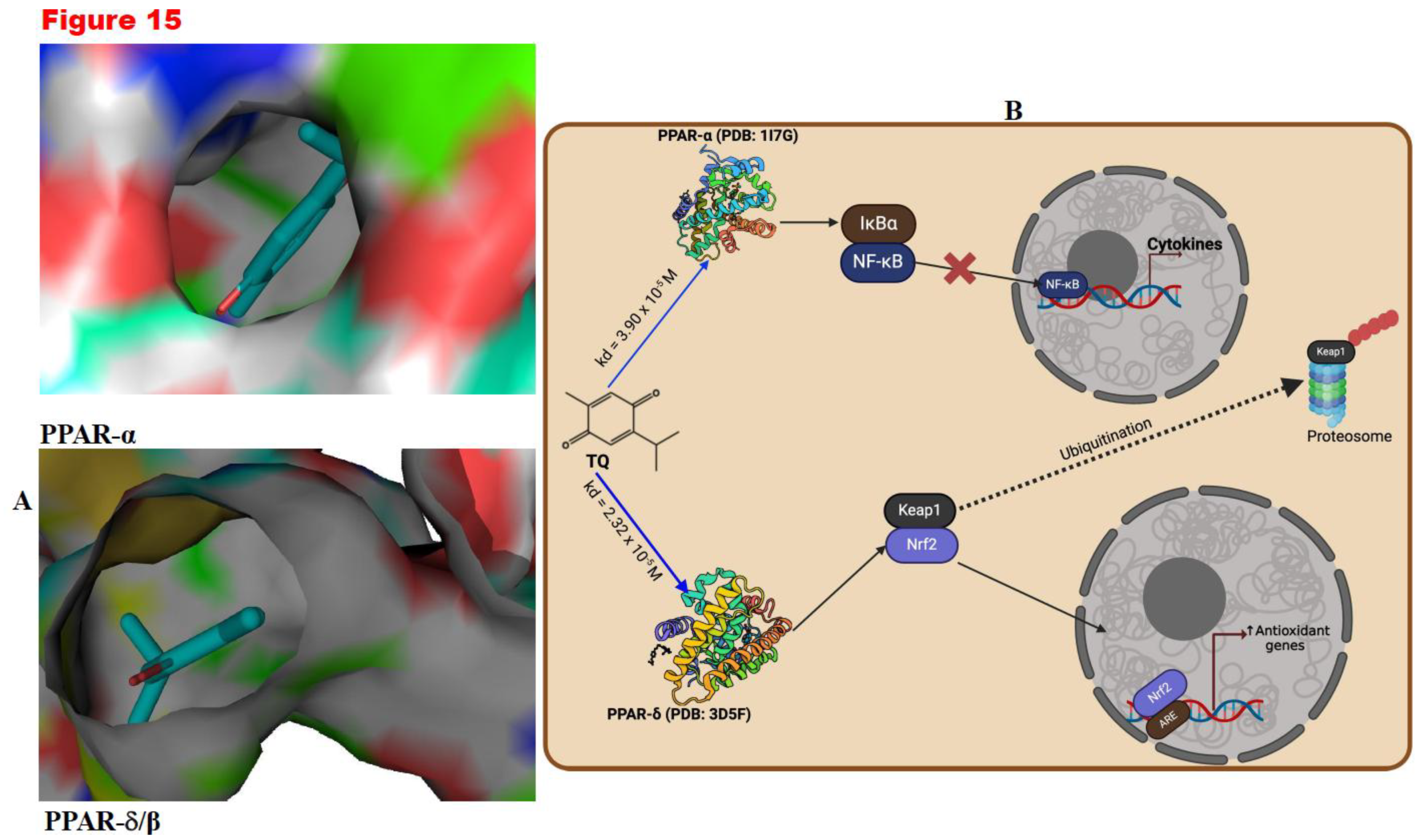 Preprints 172624 g015