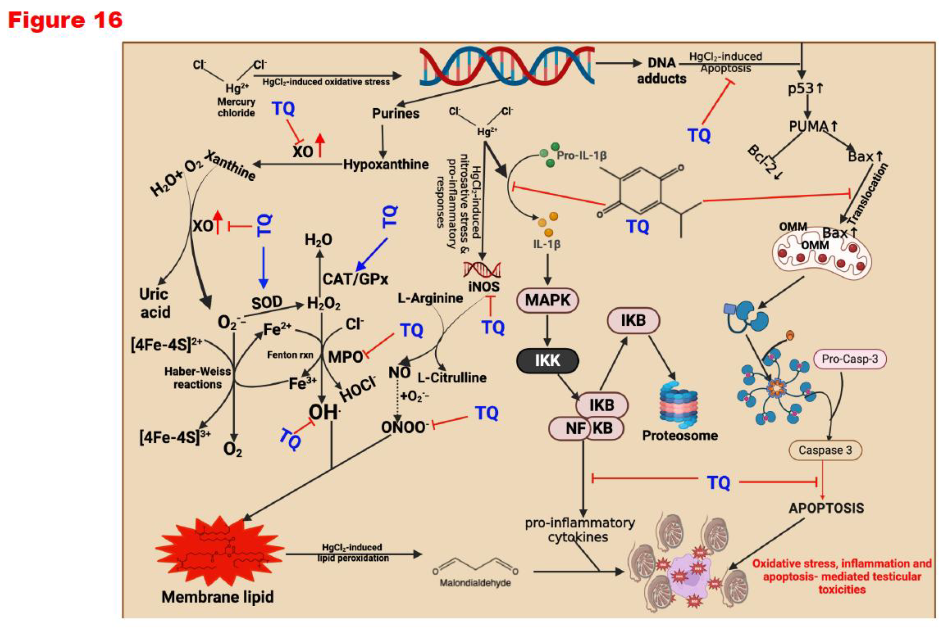 Preprints 172624 g016