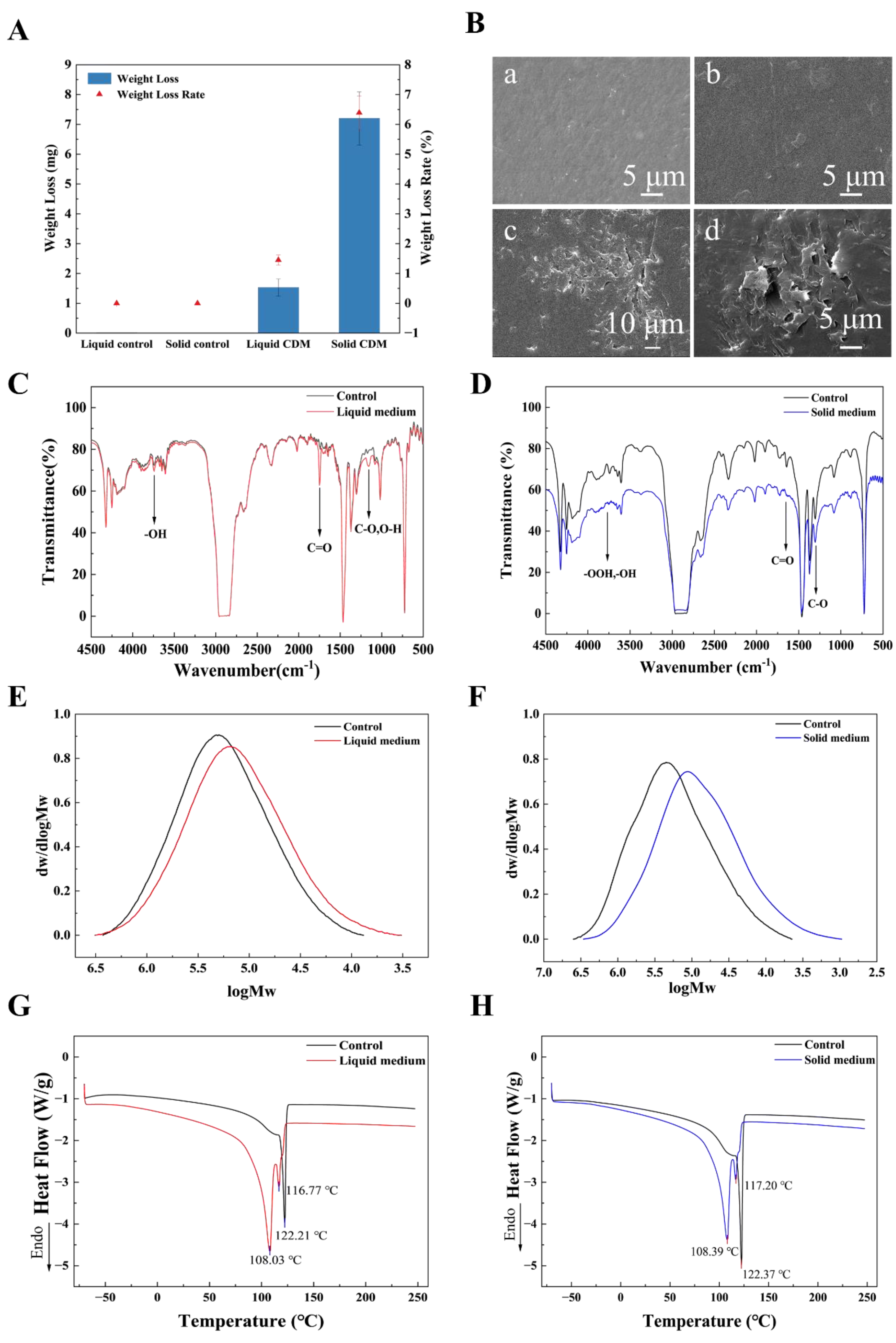 Preprints 204859 g004 Preprints 204859 g004