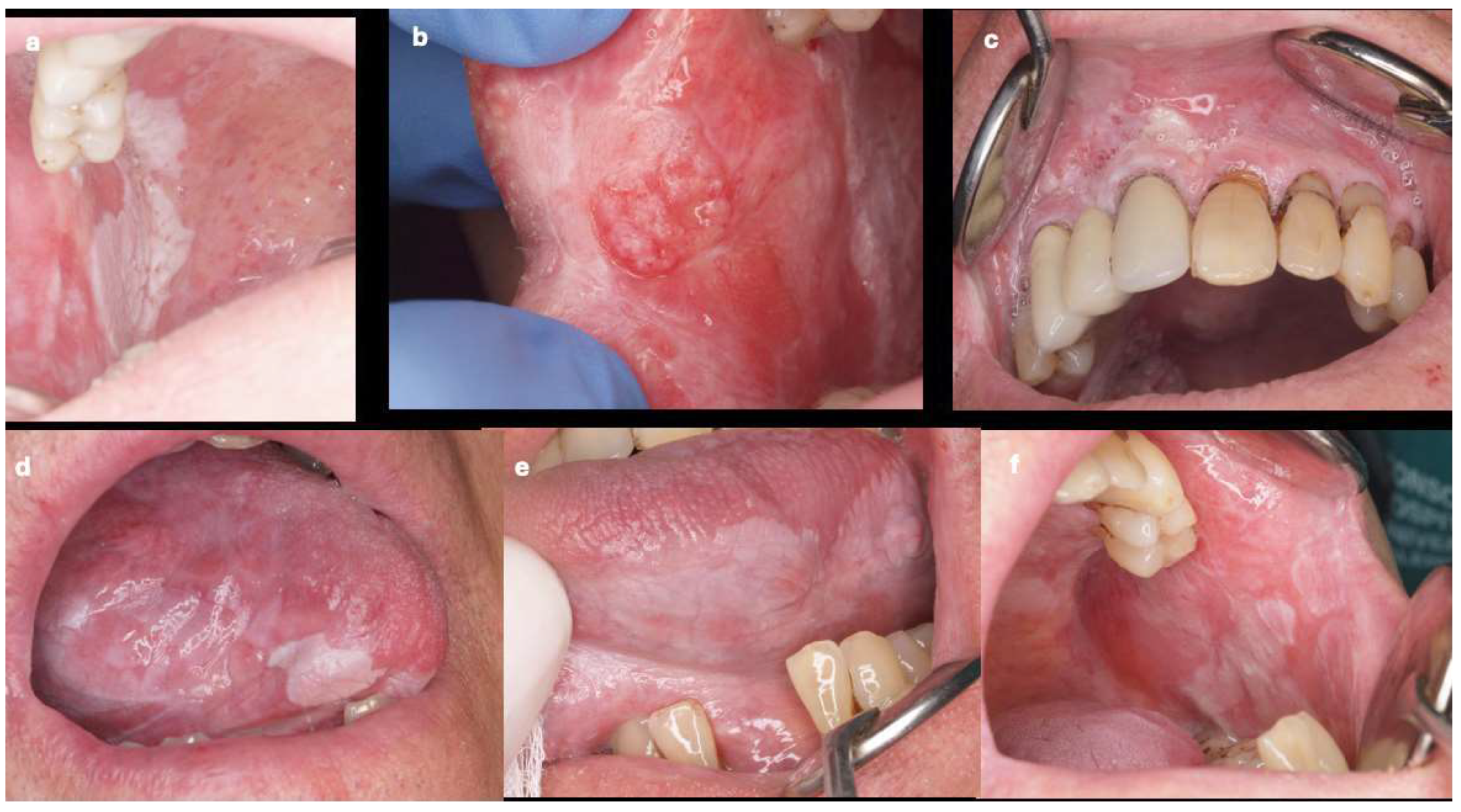 Preprints 148550 g001