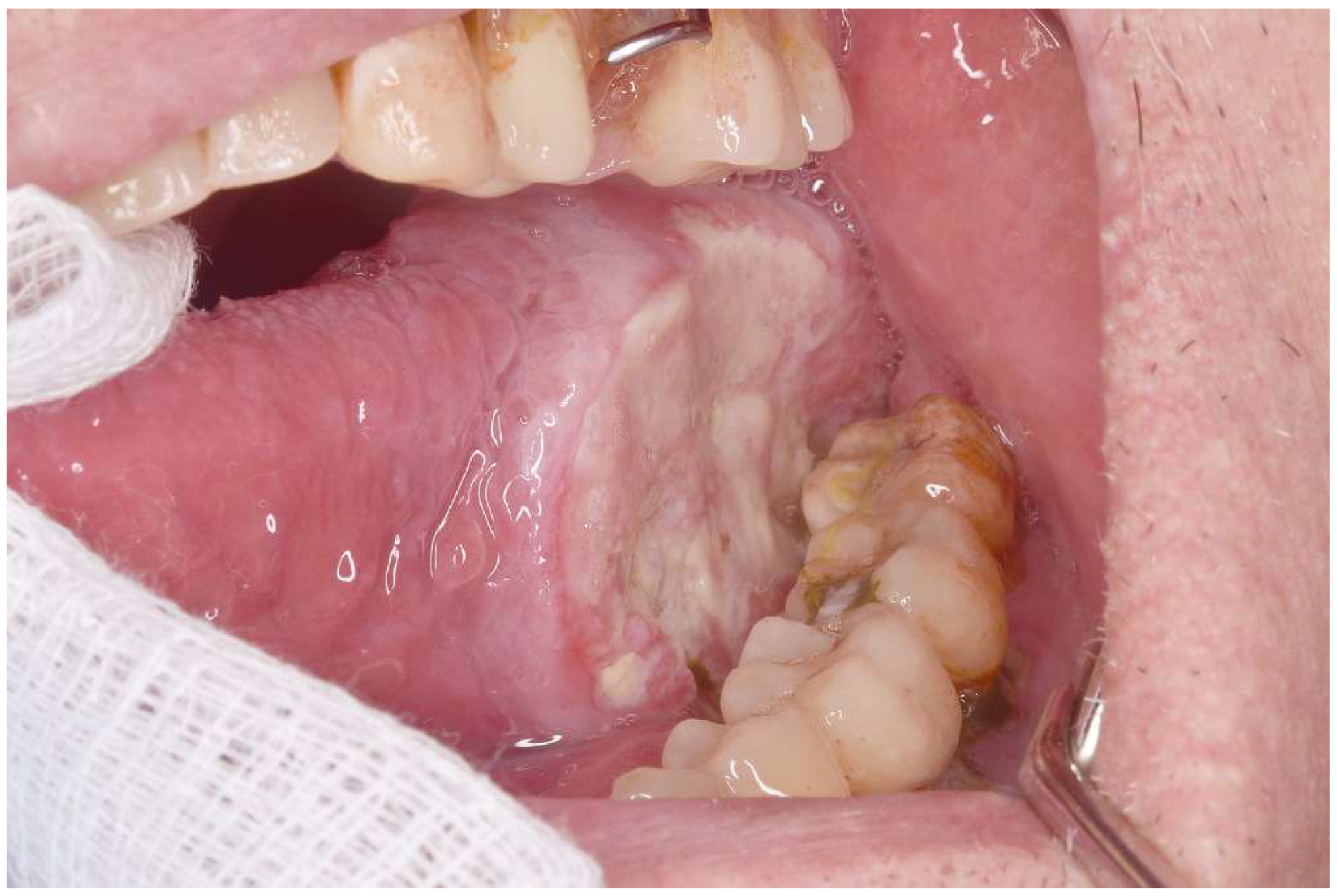 Preprints 148550 g002