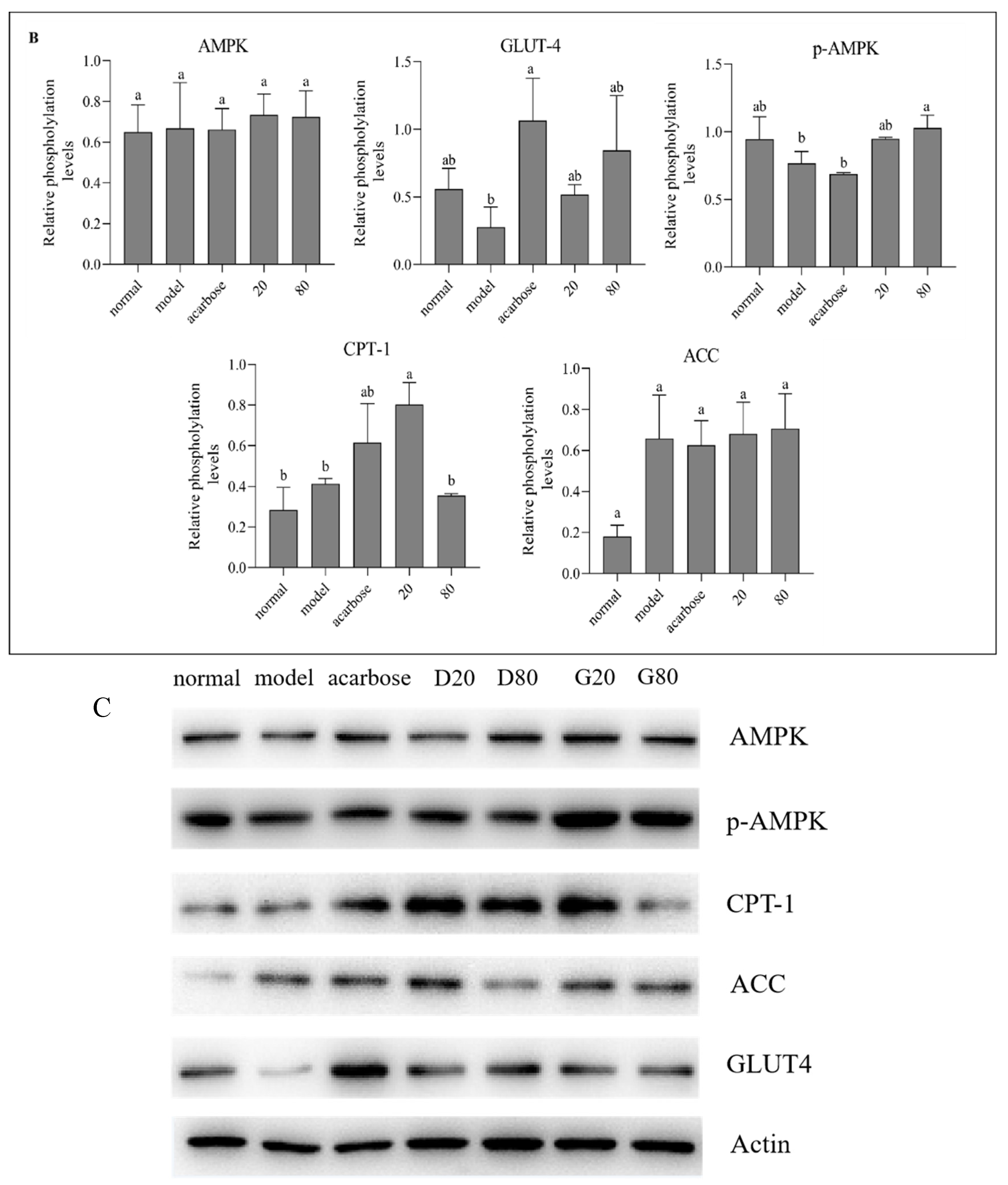 Preprints 151867 g008b